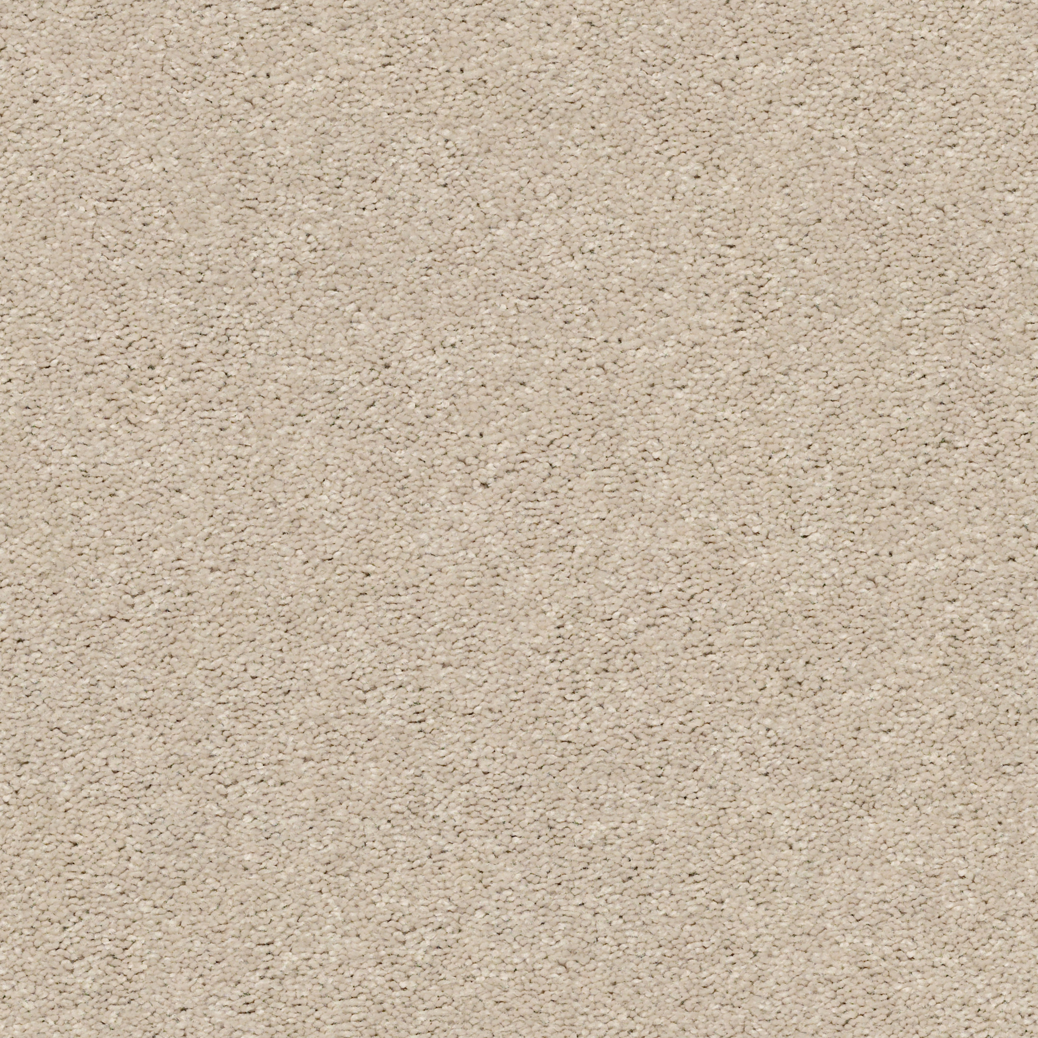 CABANA LIFE SOLID SUGAR COOKIE MAIN