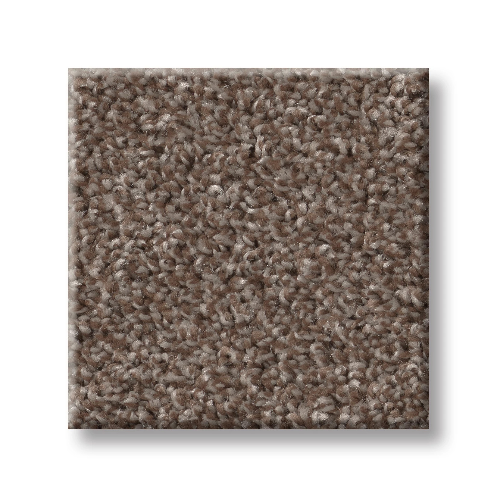 AGILITY ROASTED COFFEE SWATCH