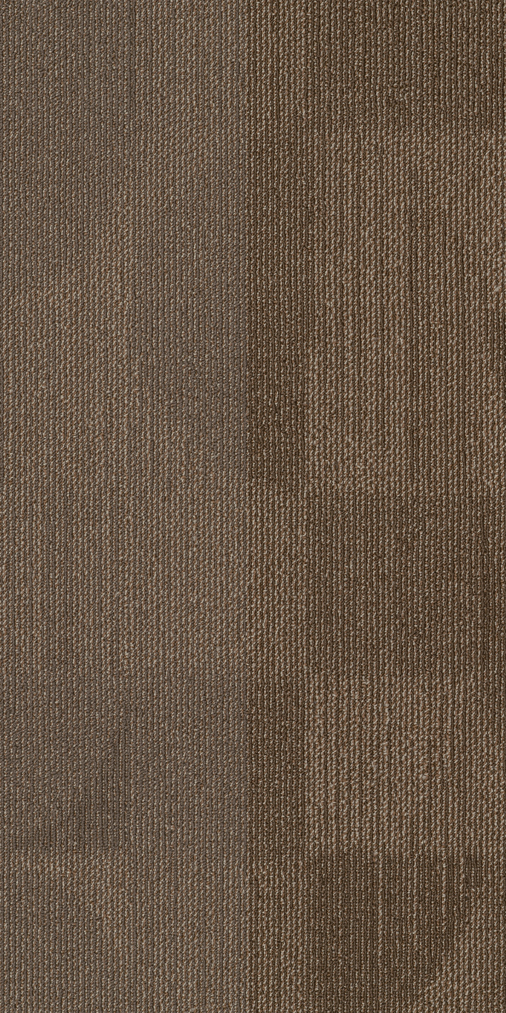 RESET-55006-EVOLVE-00200-main-image