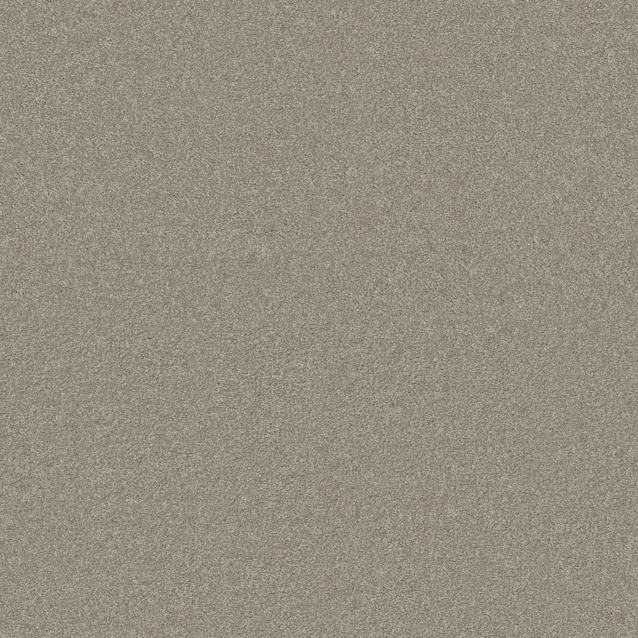 BEAUTIFULLY SIMPLE COASTAL FOG MAIN