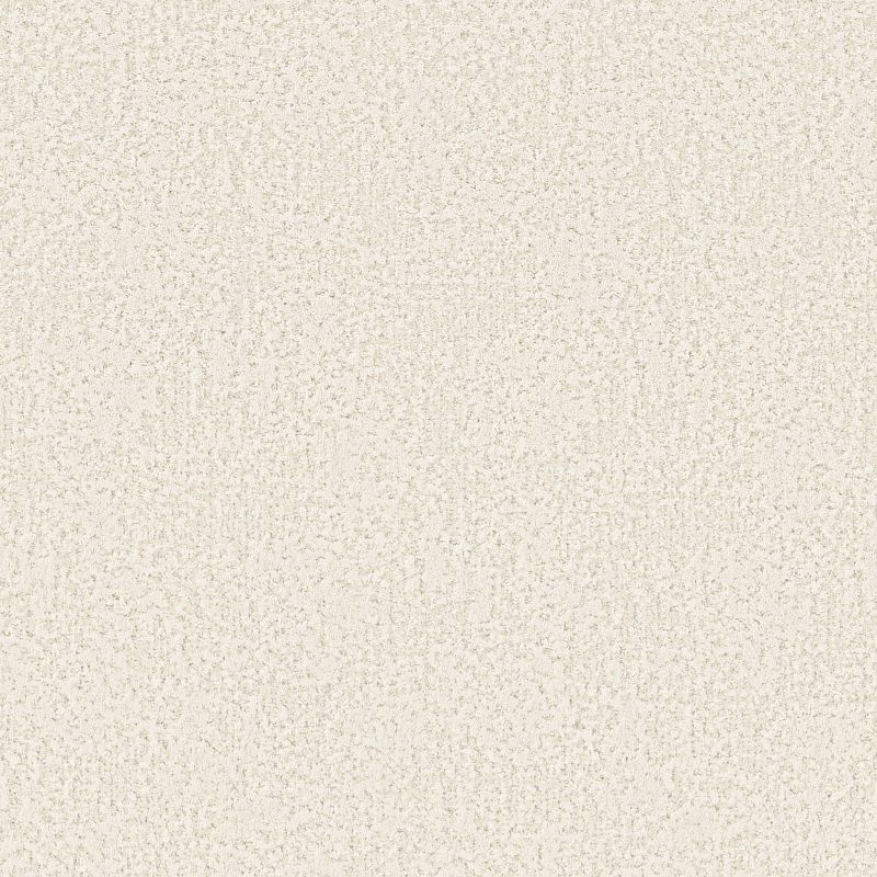 Artistic Presence Broadloom Carpet in Natural finish, 12ft width, 100% nylon material