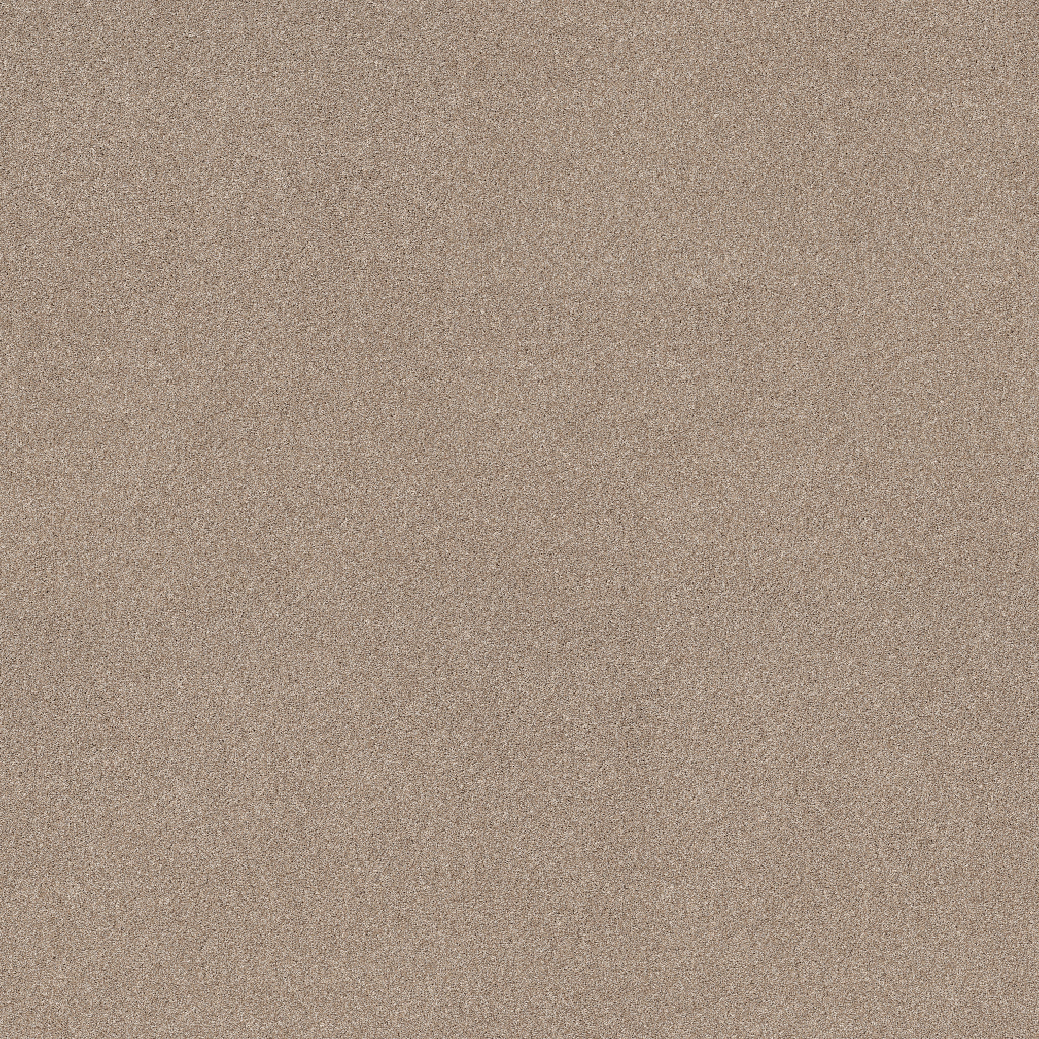 NEW MEMORIES T BAJA MAIN