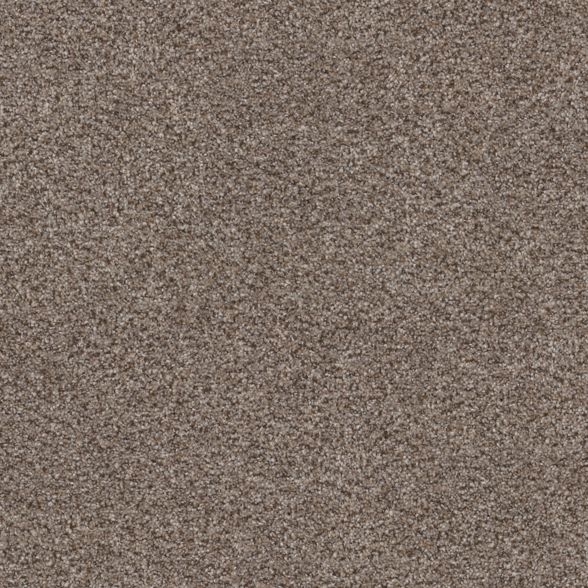 WITHOUT LIMITS II SADDLE TAN MAIN