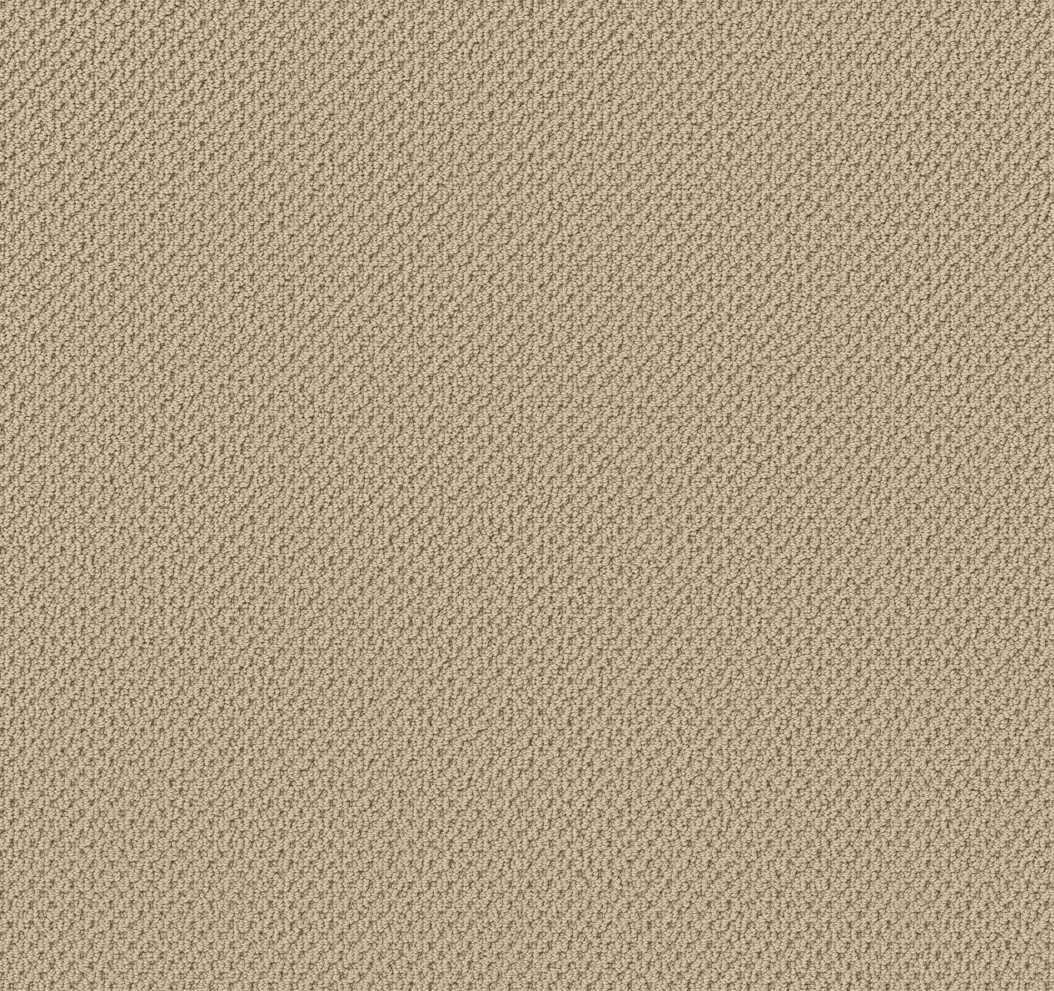 GRACIOUS SHORELINE MAIN