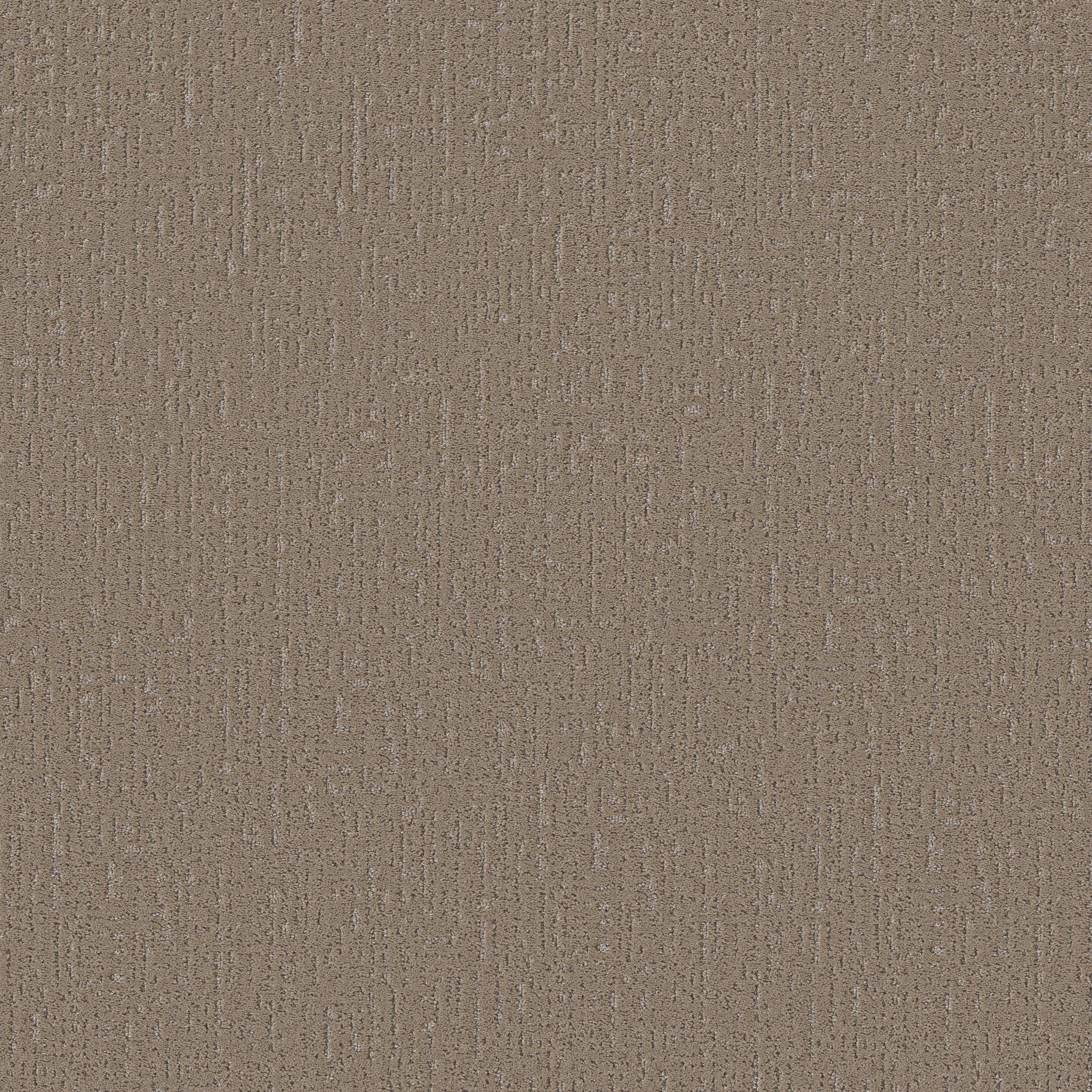 CURATED TONE LATTE MAIN