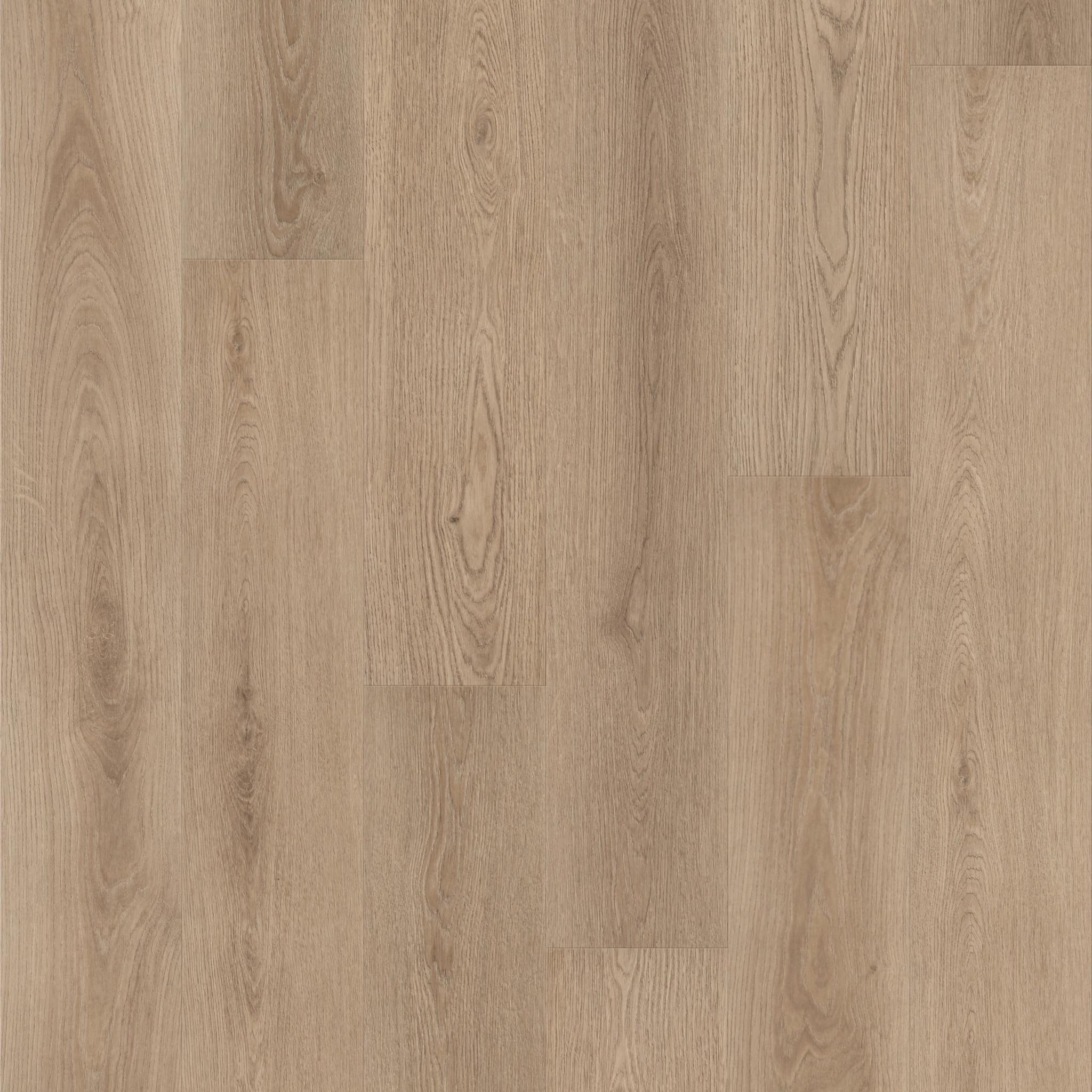 Pantheon HD Plus Natural Bevel in Ponder