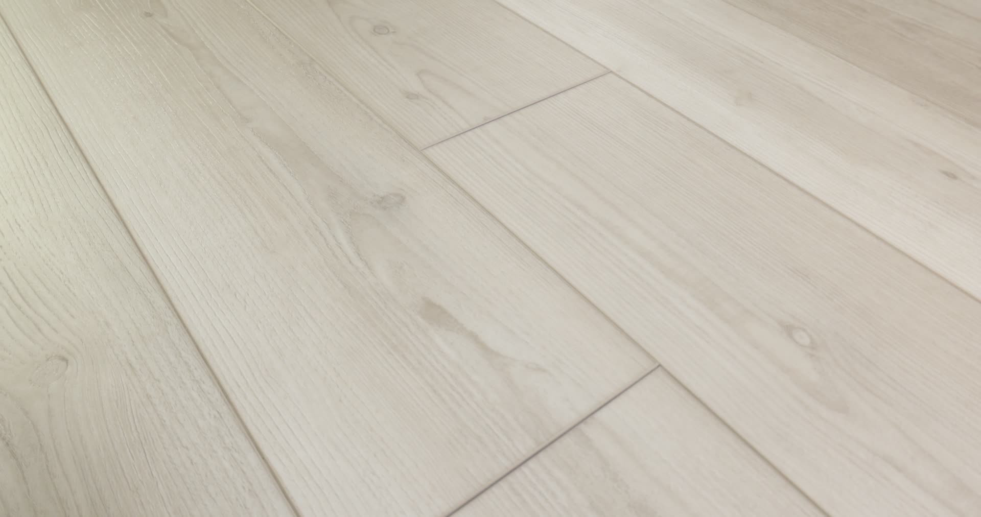 rcei ポット発送♈️616【Ashwood】EVOLUTION rcei ポット発送♈️616【Ashwood】EVOLUTION rcei ポット発送♈️616