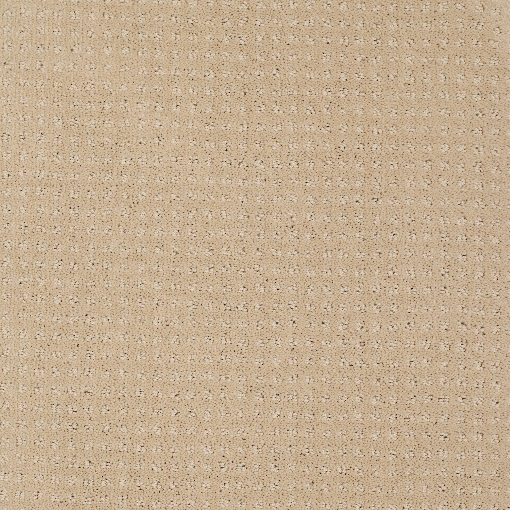 ENDURING COMFORT PATTERN MESA MAIN