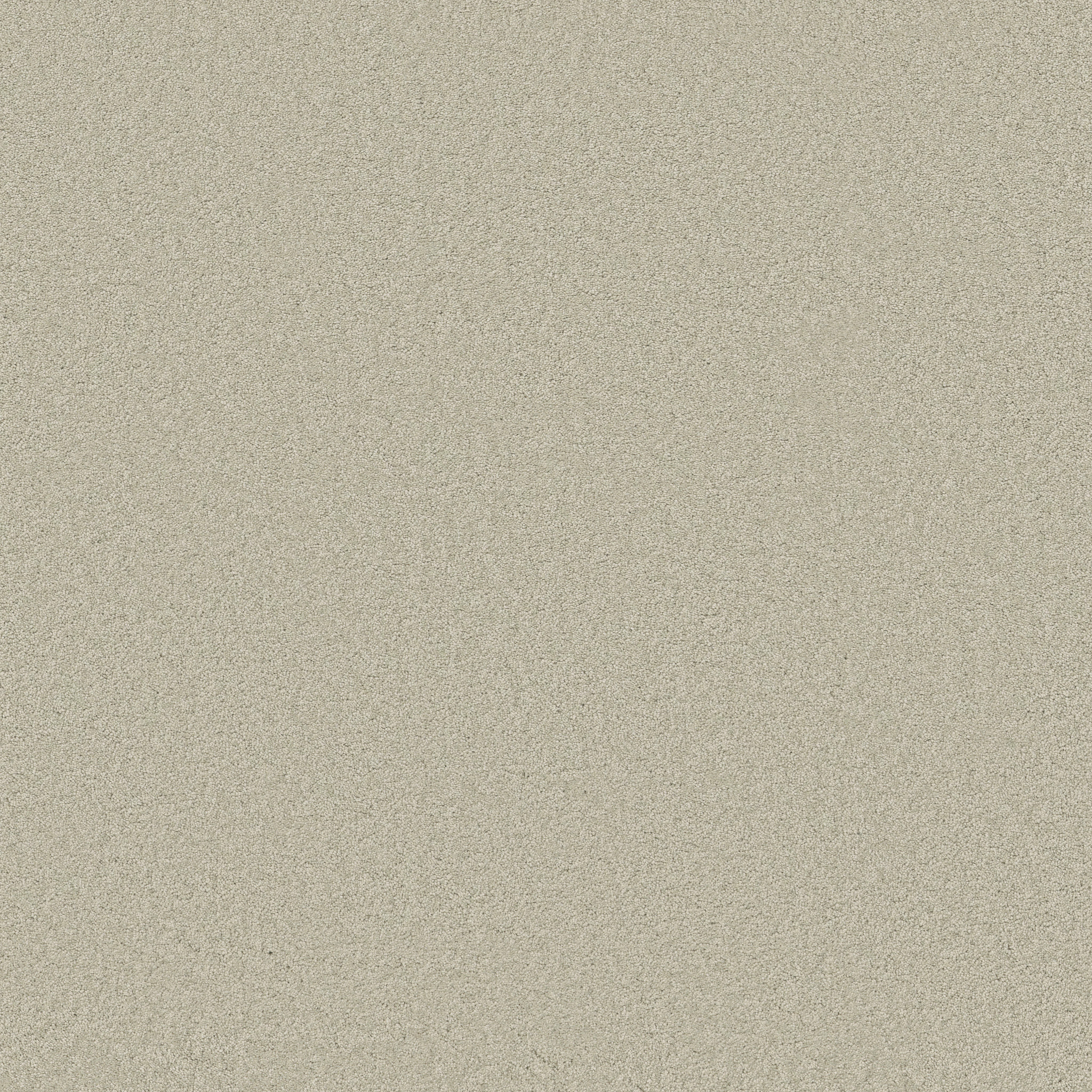 ELEGANT BEAUTY ALOE WASH MAIN