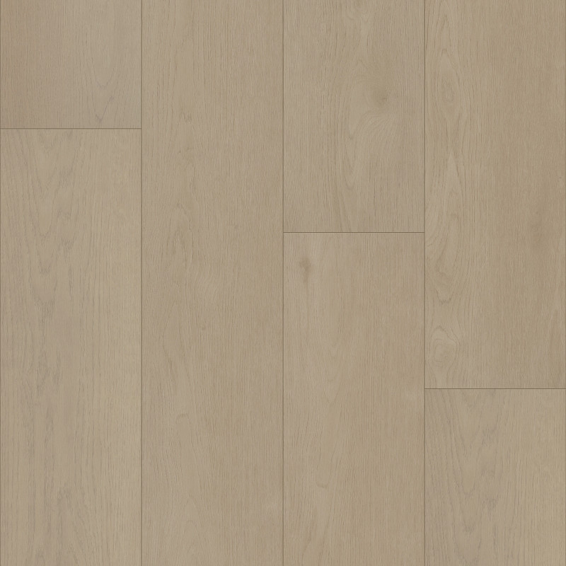 HOMEWARD in Desert Sand by Shaw Floors