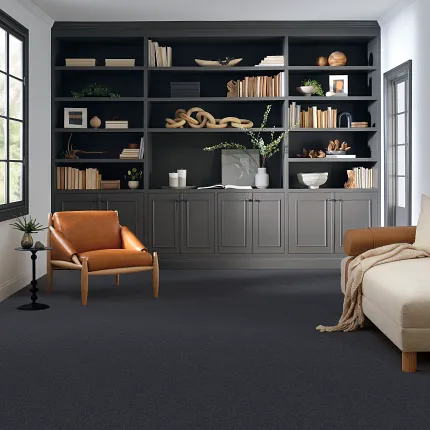 Comfortable and stylish living room with durable carpet flooring Cozy living room with dark carpet flooring