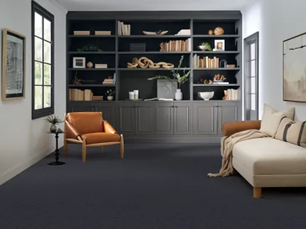 Comfortable and stylish living room with durable carpet flooring Cozy living room with dark carpet flooring