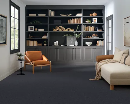Comfortable and stylish living room with durable carpet flooring Cozy living room with dark carpet flooring