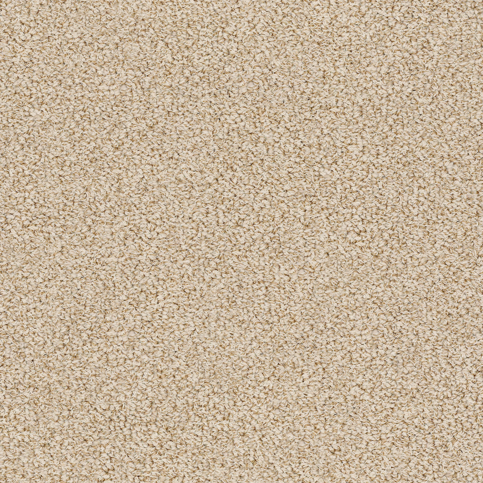 BALI SUMMERTIME MAIN