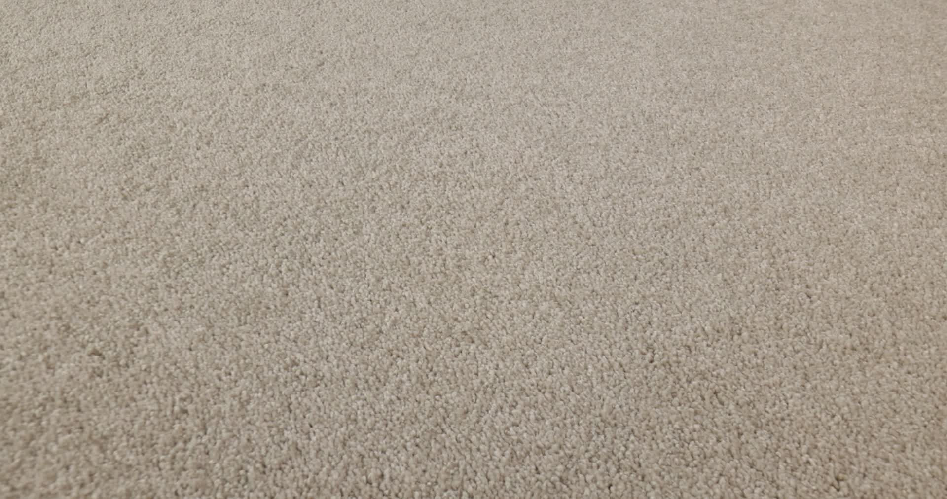 BASIC RULES ARCTIC FOX 360PROD