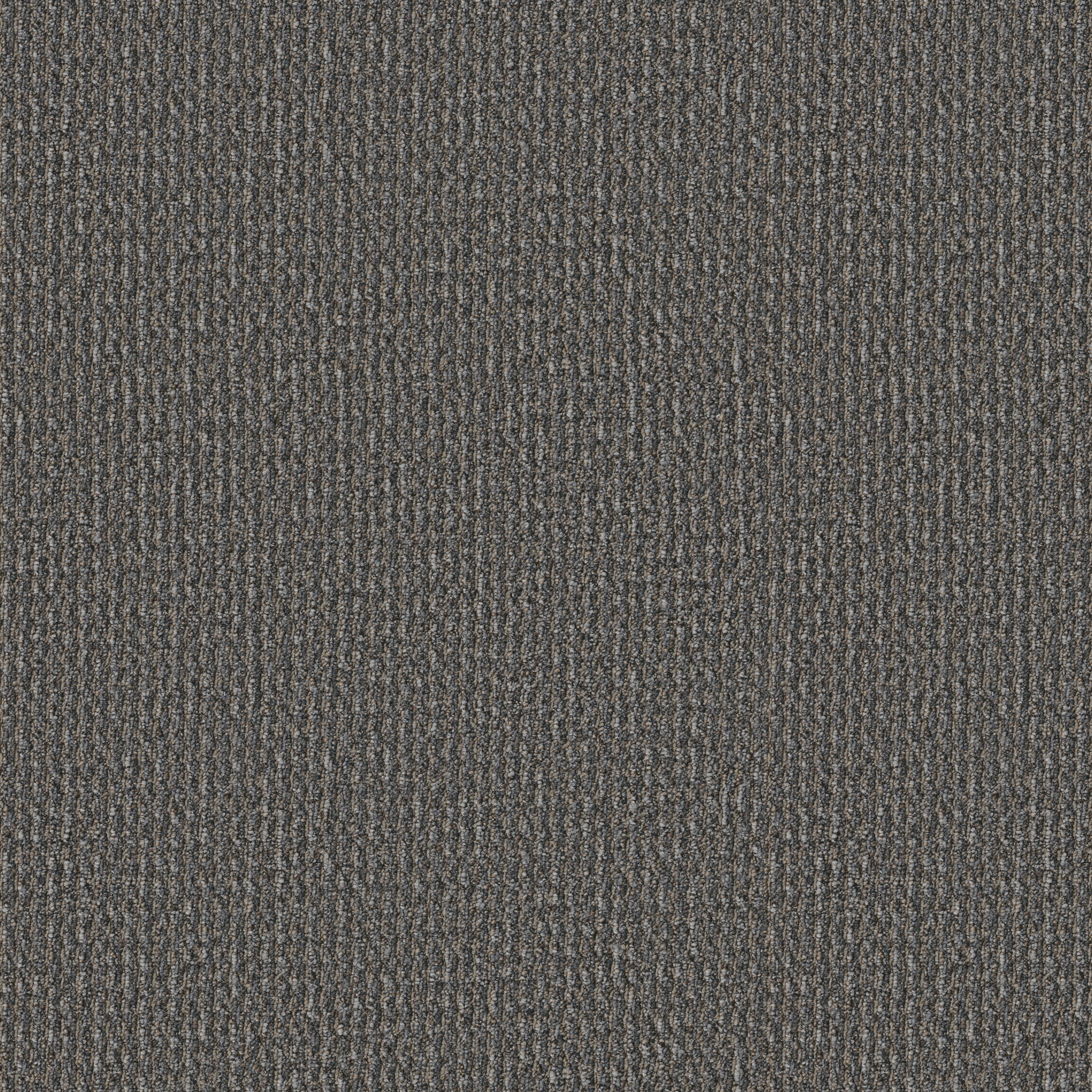 PRELUDE-54990-PREAMBLE-00508-main-image