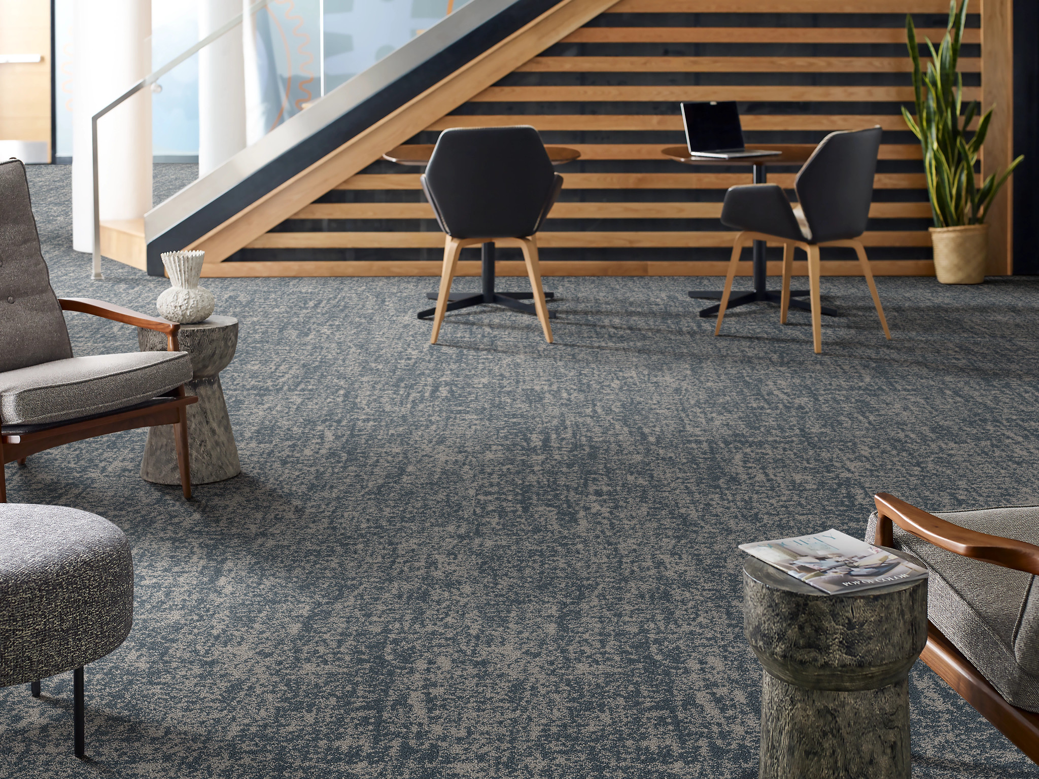 INTERMINGLE-54981-SPLENDOR-00404-room-image