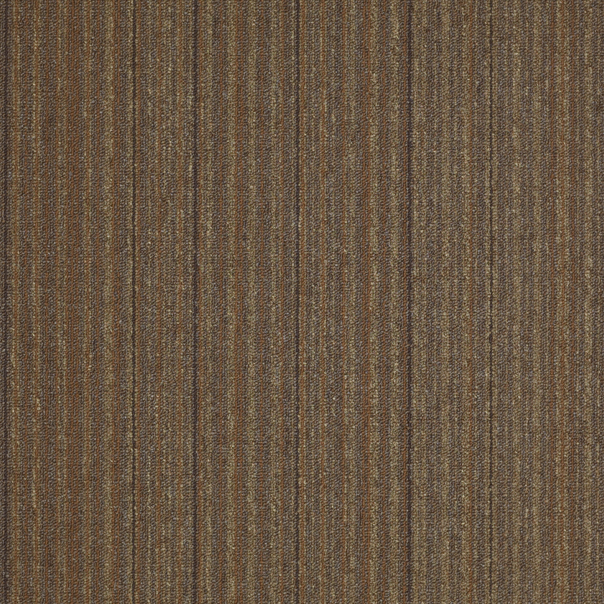 LUCKY-BREAK-54734-IT'S-A-MIRACLE-34720-main-image