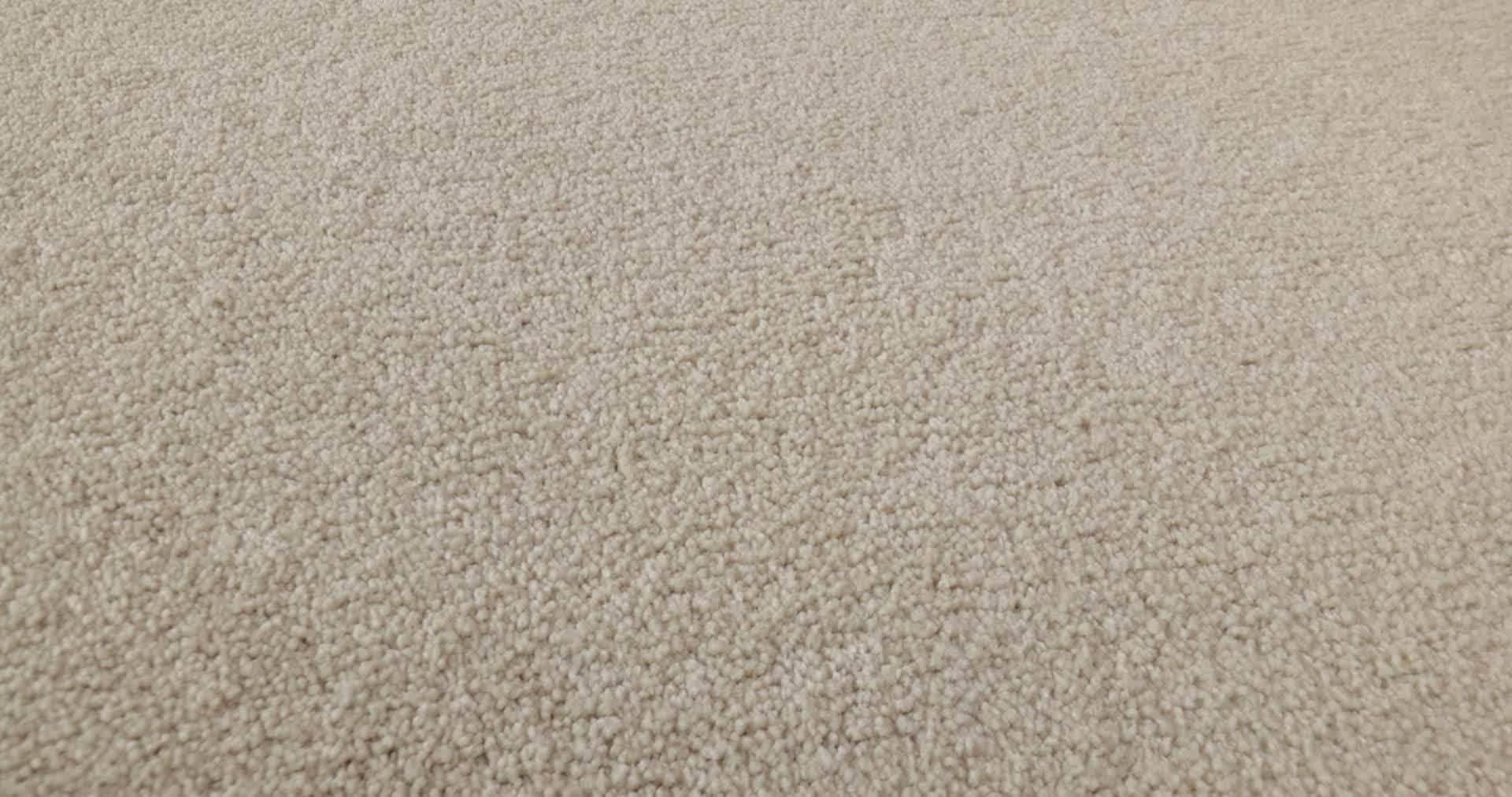 WELL GROUNDED I 12 BLEACHED 360PROD