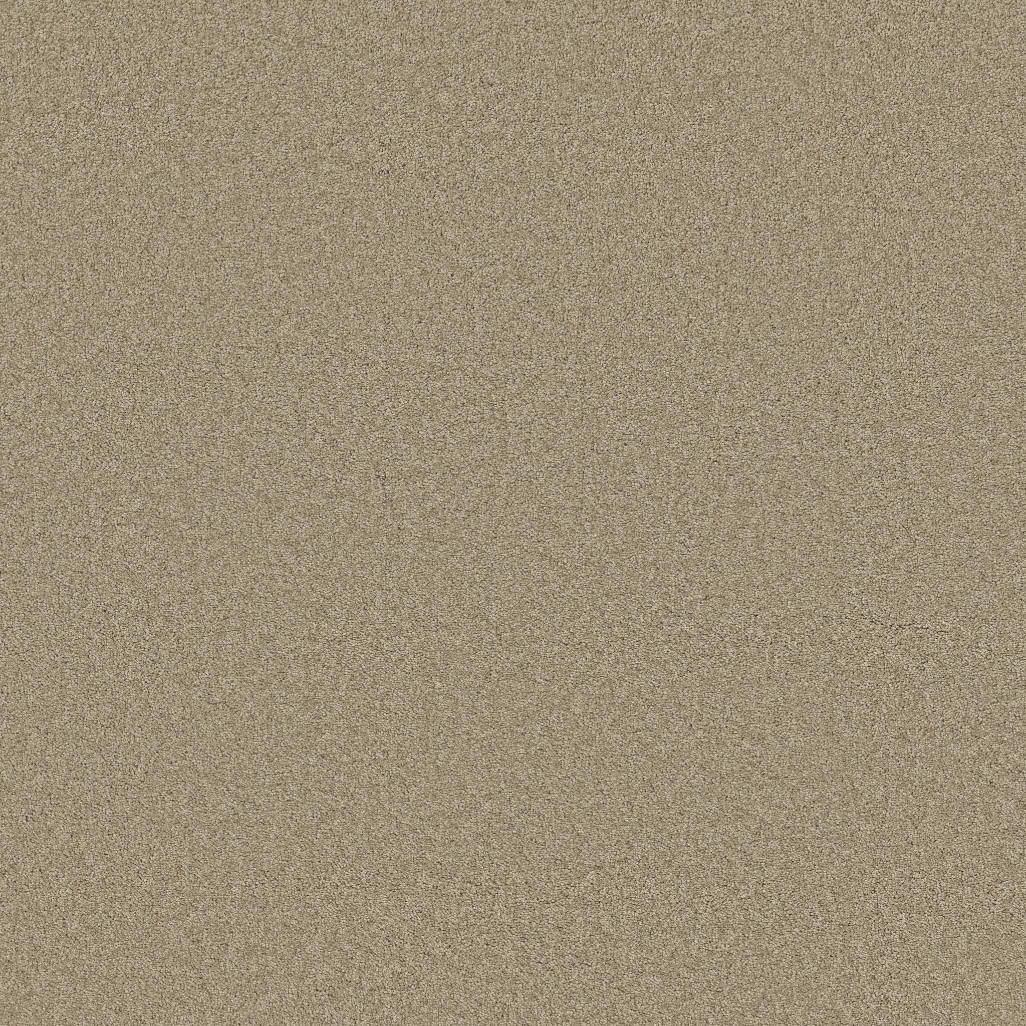 Grand Image III in Stucco