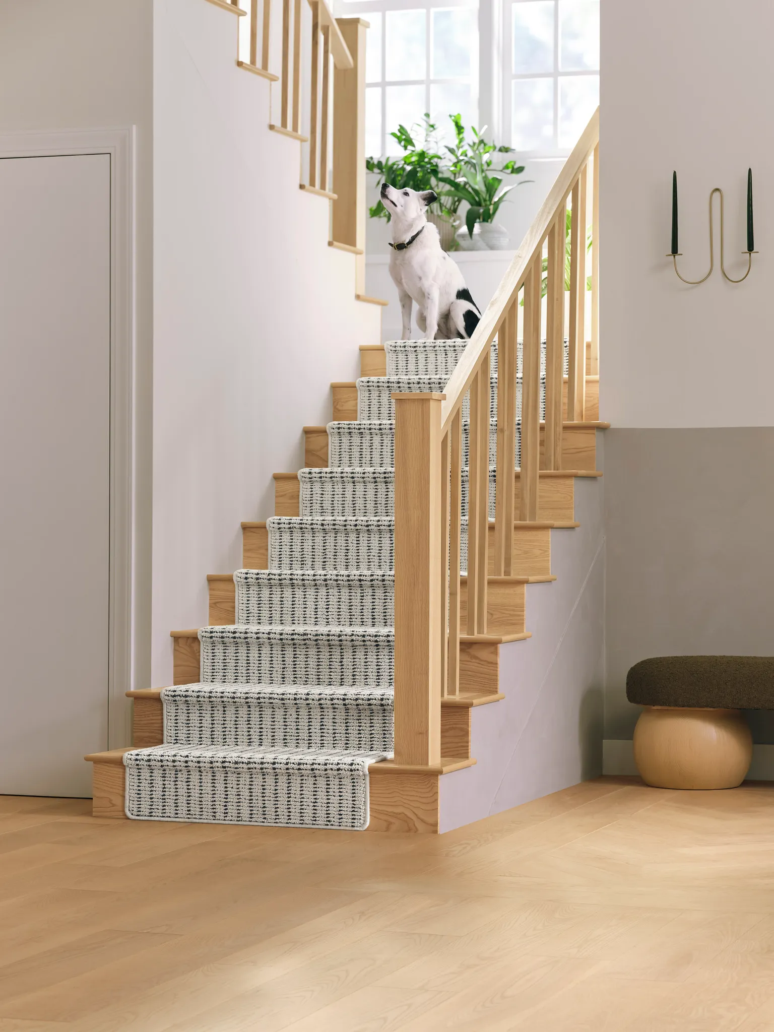 Synthetic carpet on staircase with black and white pattern and a dog