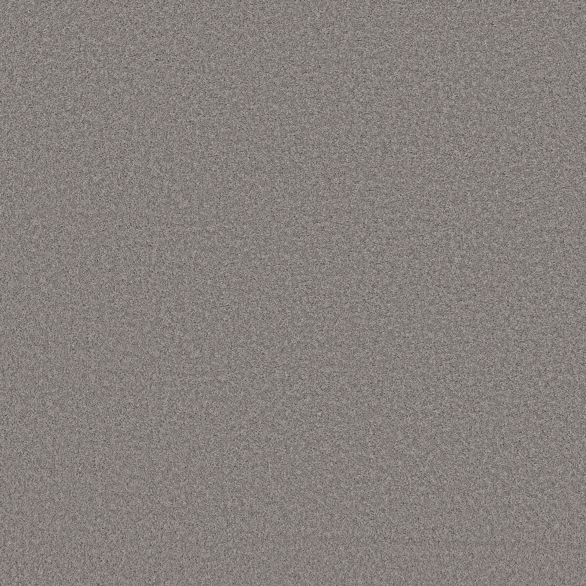 PURE AFFECTION S WINTER MAIN