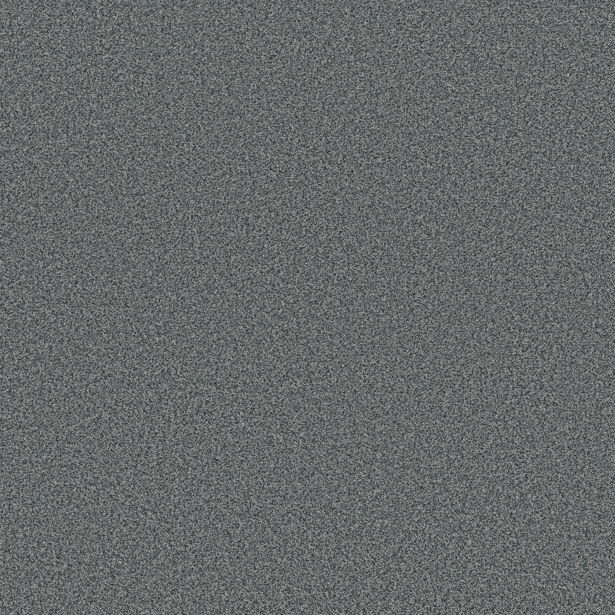 AVALON BAY OCEAN LAYER MAIN