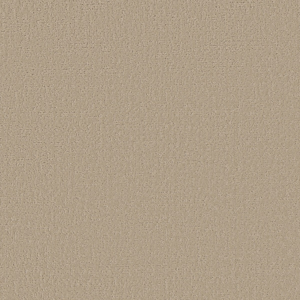 CANVAS COMFORT BLUE — BACK PATIO