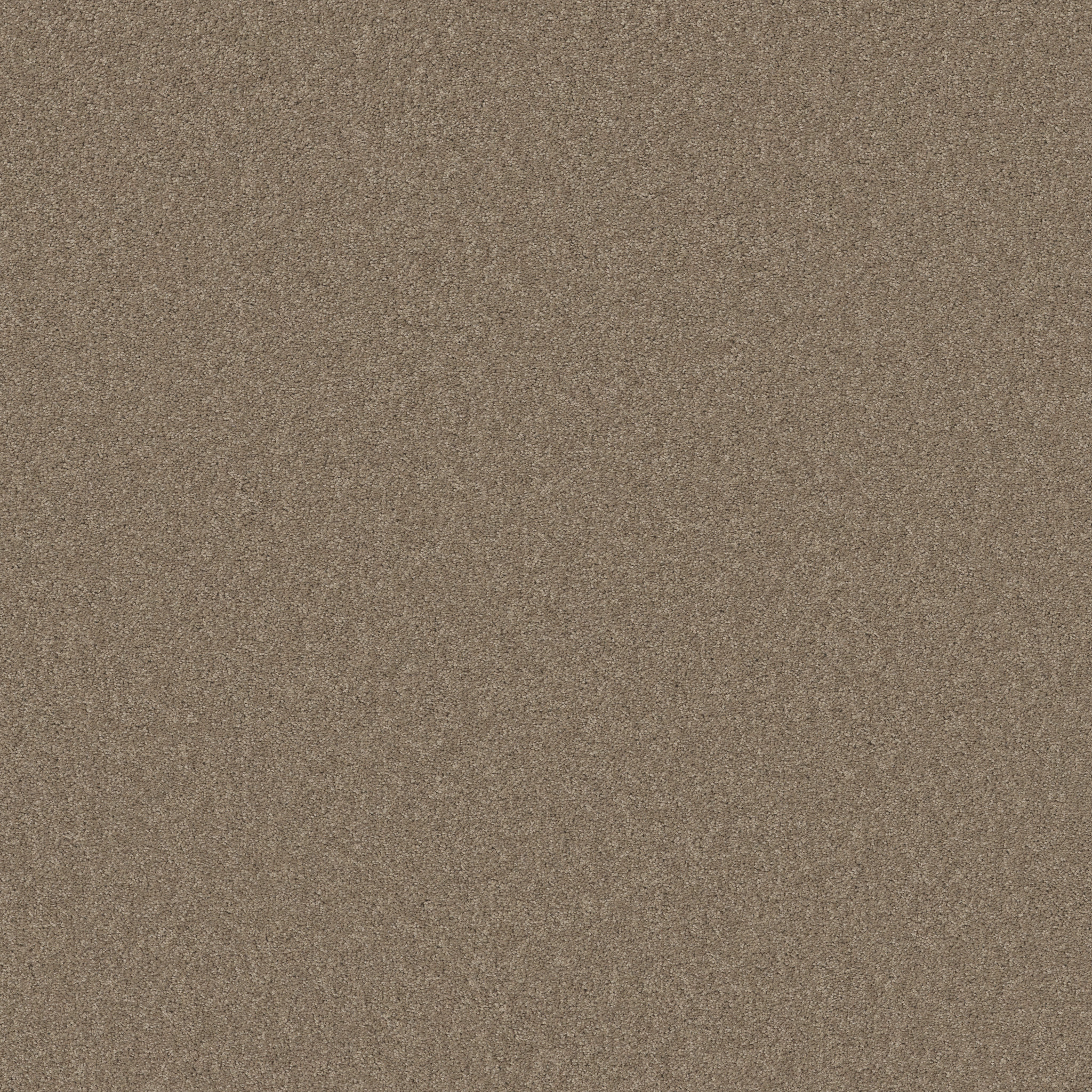 OPPORTUNITY KNOCKS HAVANA MAIN