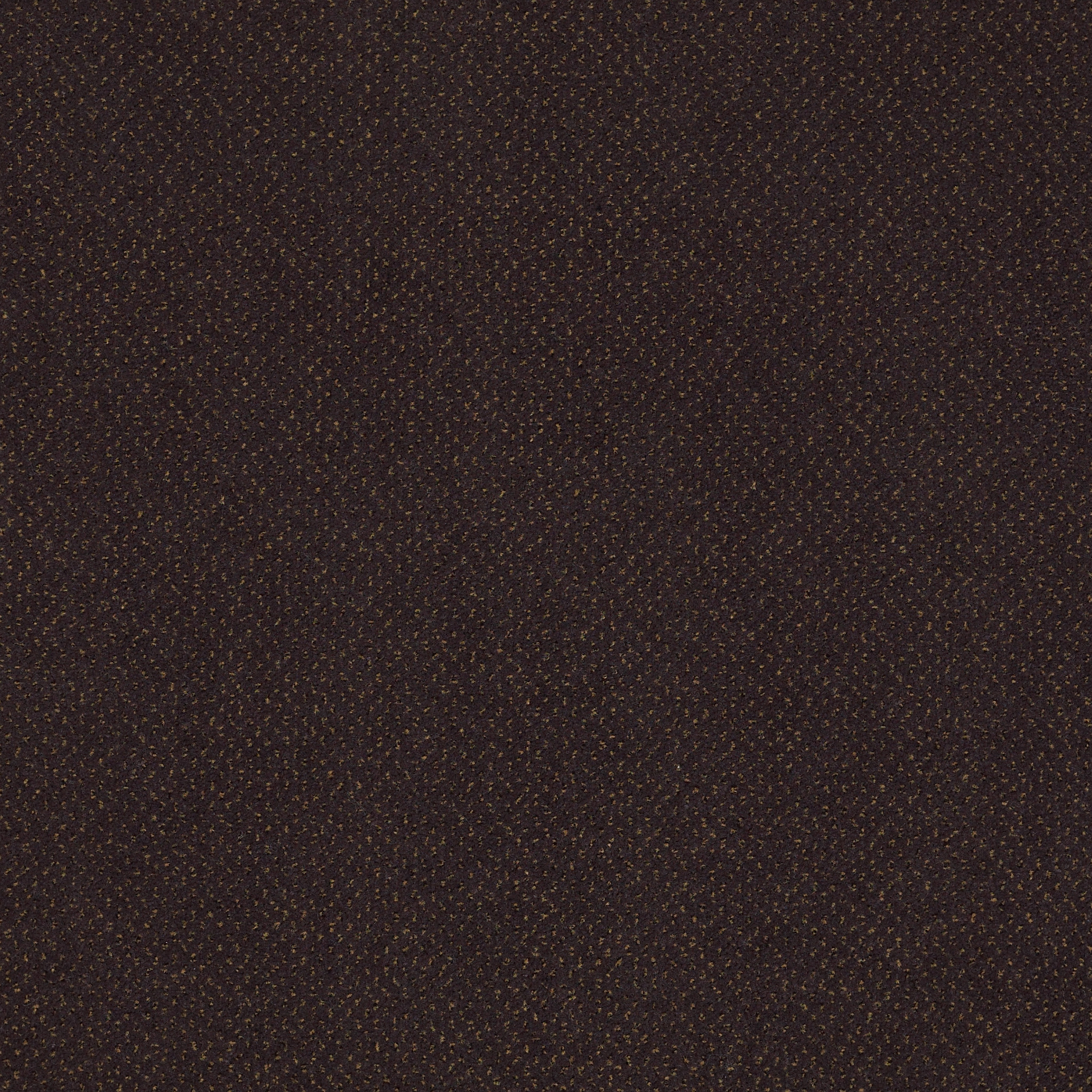 FUTURE-GENERATIONS-54644-GENESIS-44903-main-image