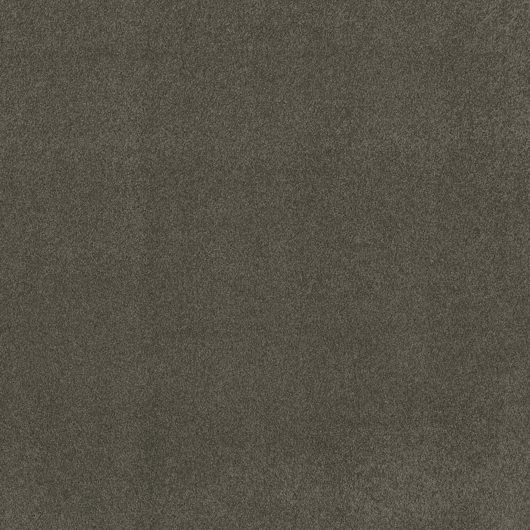 MY CHOICE III GRAPHITE MAIN