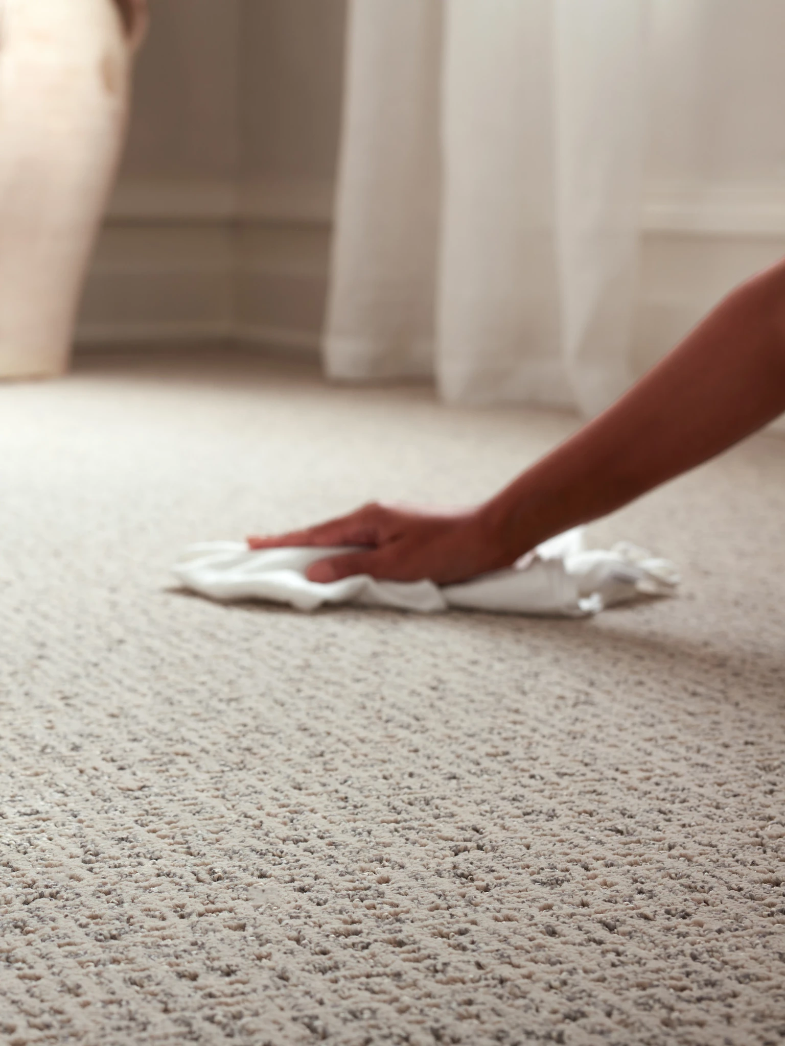 Person blotting carpet indicating they are cleaning a spill