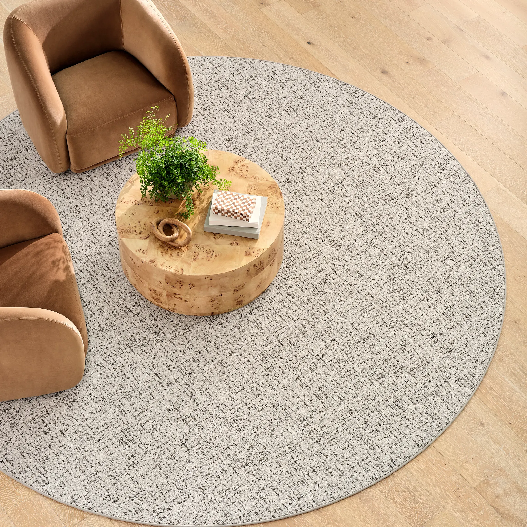 Cozy Layer broadloom style rug in modern living room with wooden coffee table and armchairs
