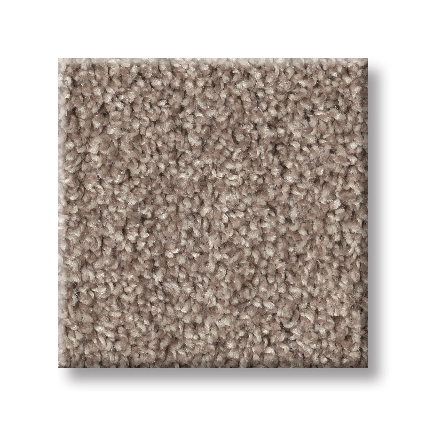 AGILITY BISCOTTI SWATCH