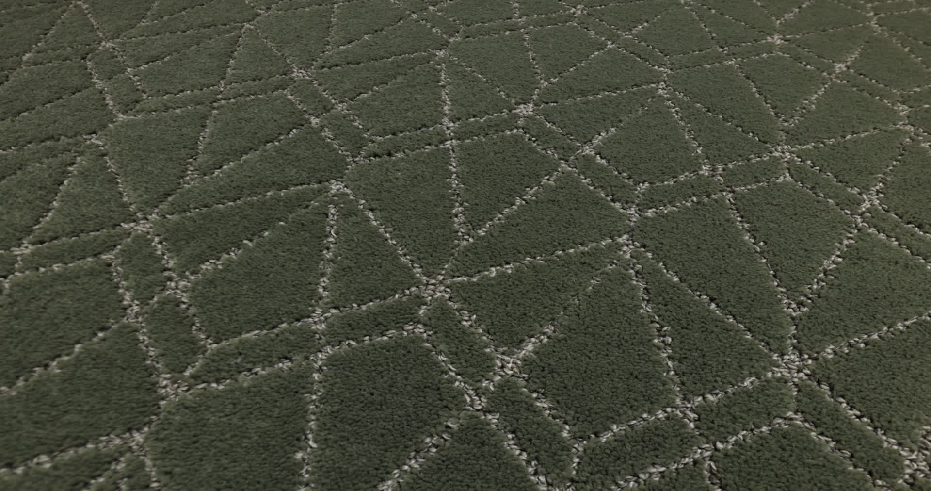 POINT OF VIEW REROOTED NATURE 360PROD