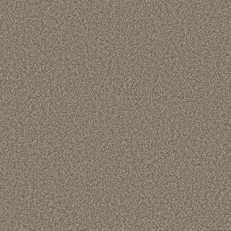 Artistic Fusion II 5E575 Broadloom Carpet in Frozen color, 12ft width, 100% PET material