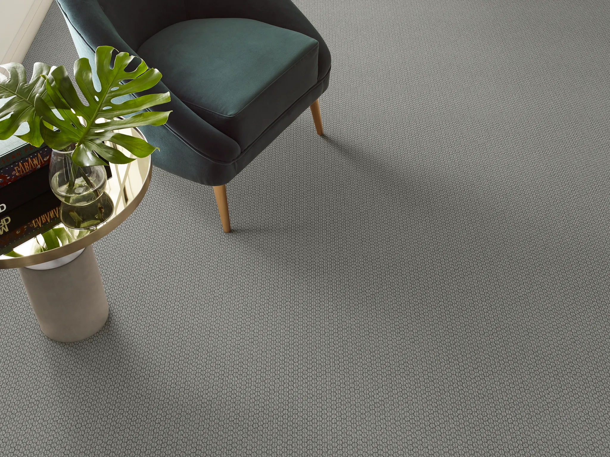 Modern living room with gray carpet flooring and stylish armchair