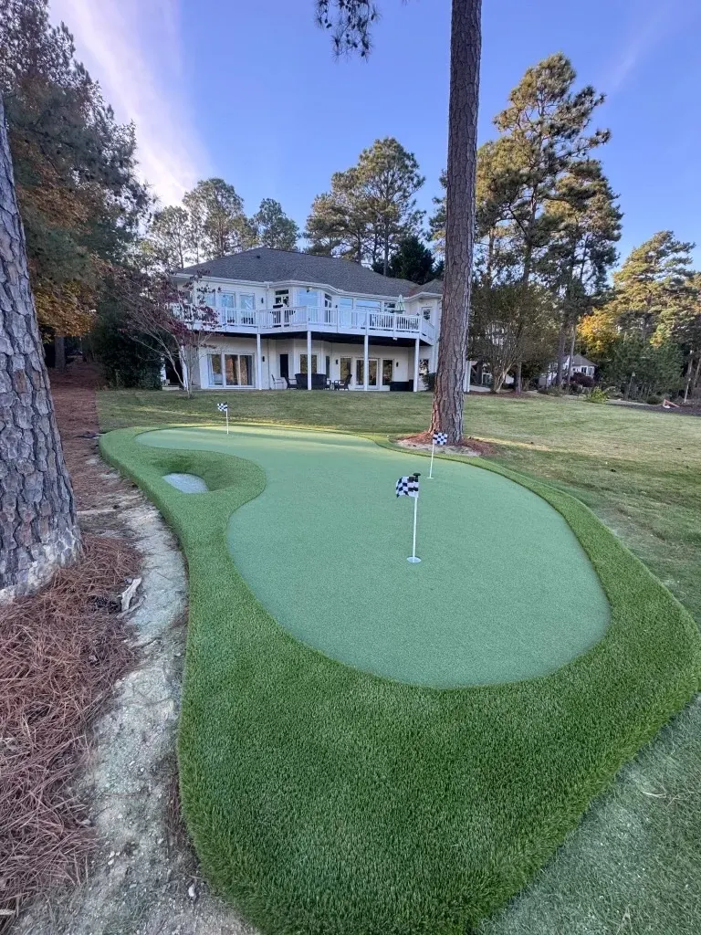 Backyard putting green with artificial turf