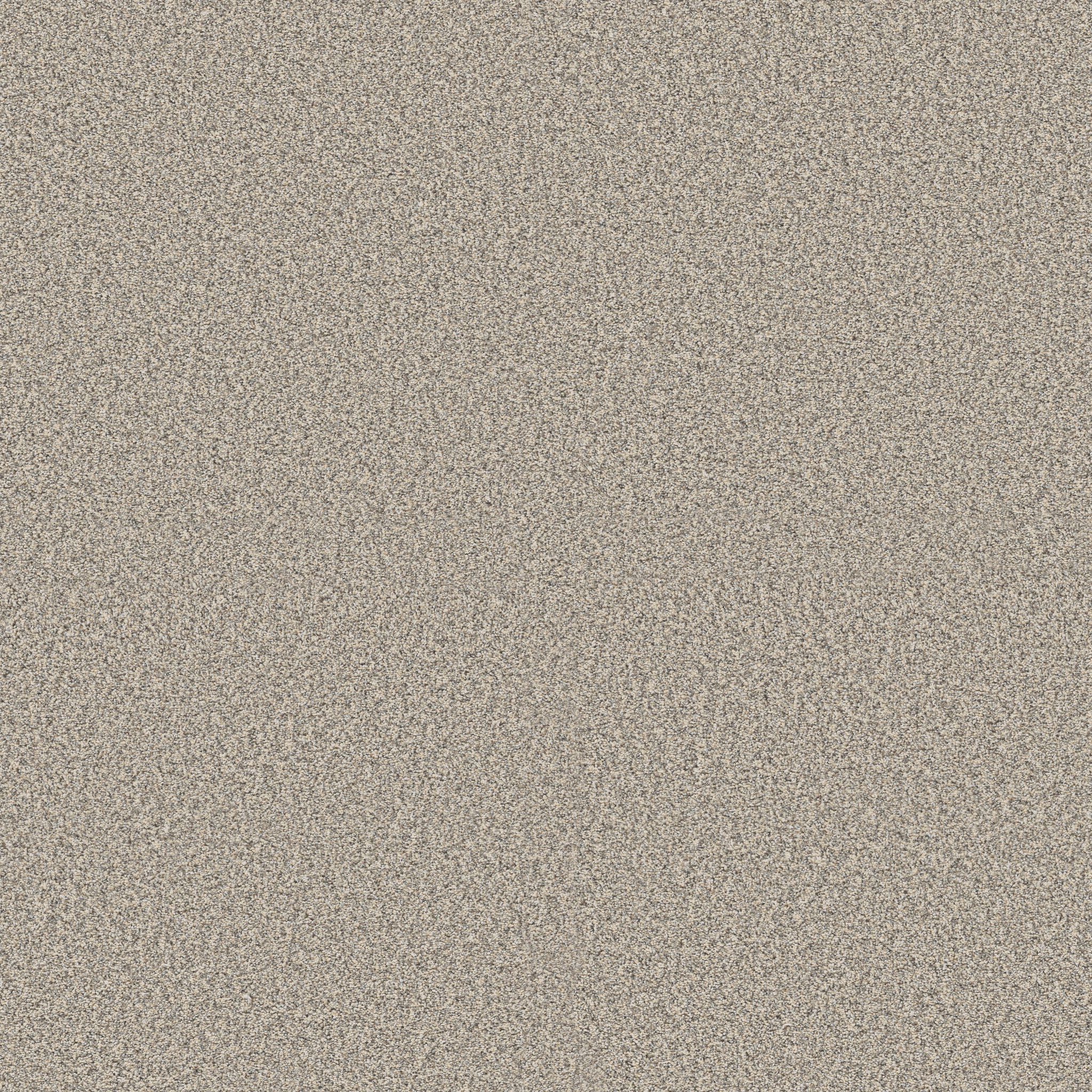 TIMELESS TONE SUMMERTIME MAIN