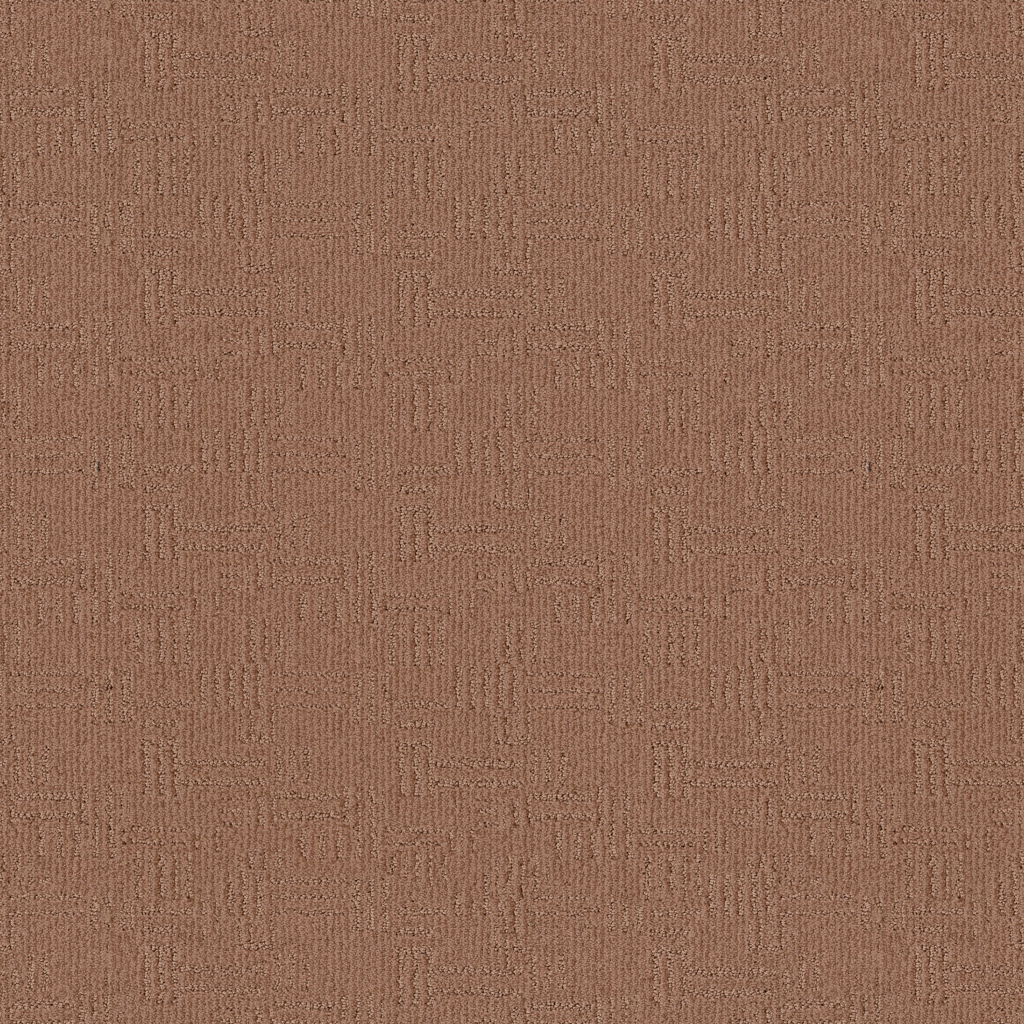 DIEGO DESERT BEACH MAIN