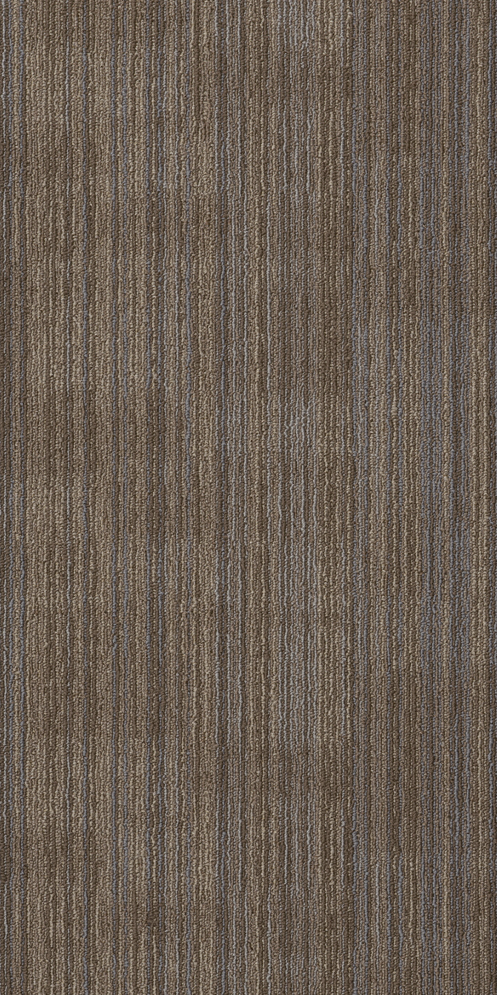 ASCENSION-54973-RECREATE-00204-main-image