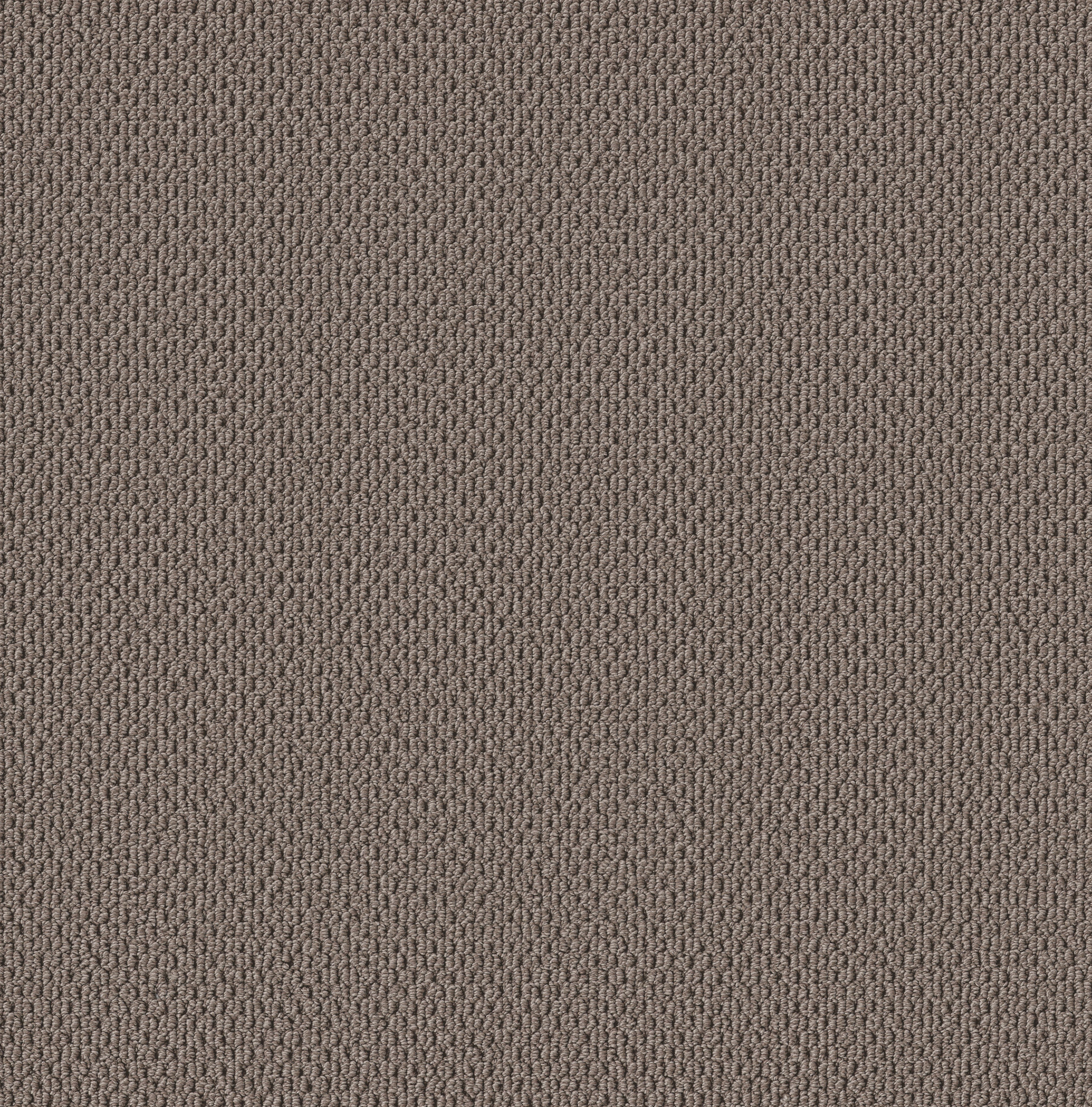 PERSPECTIVE PATH CAPPUCCINO MAIN