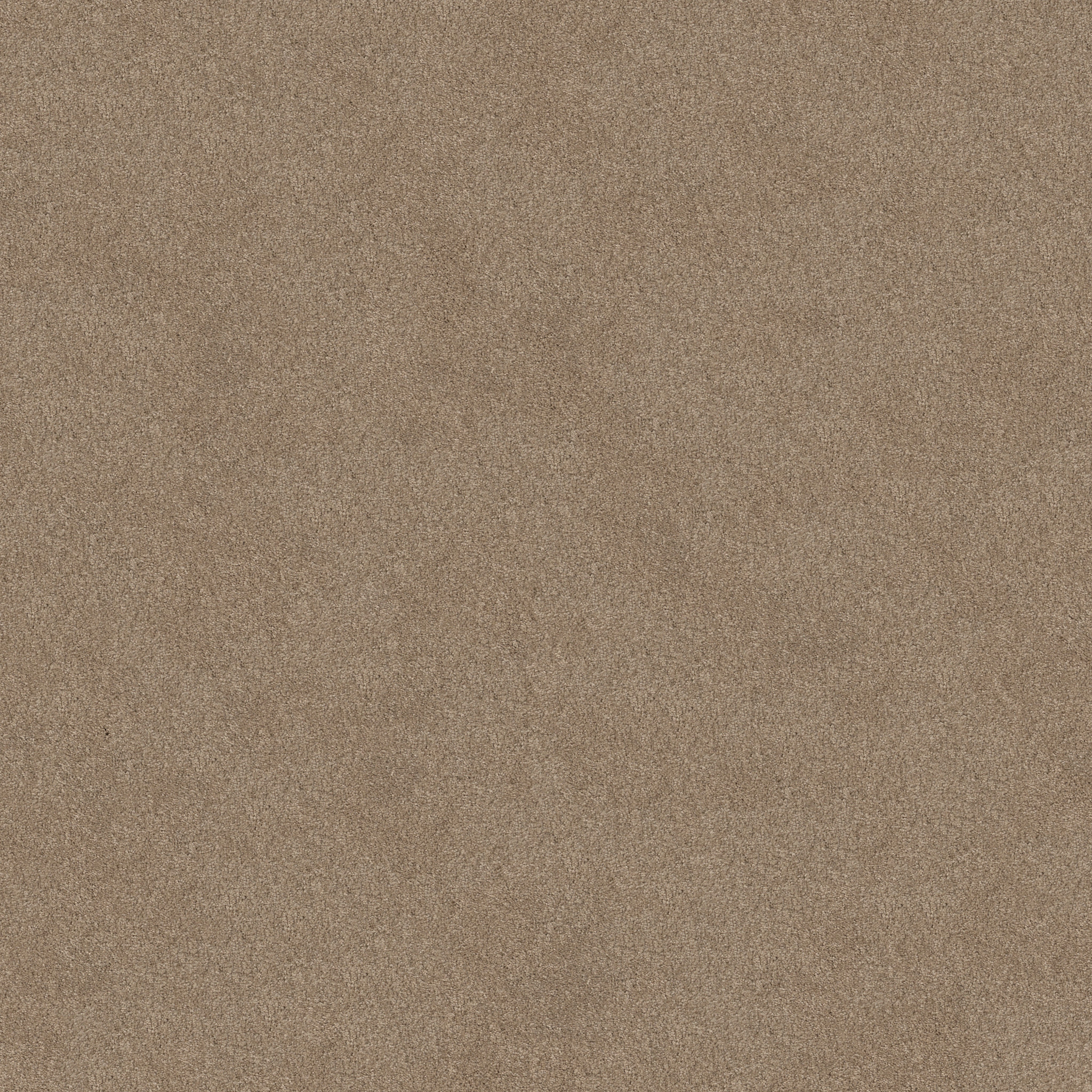 LUCKY YOU HAVANA MAIN