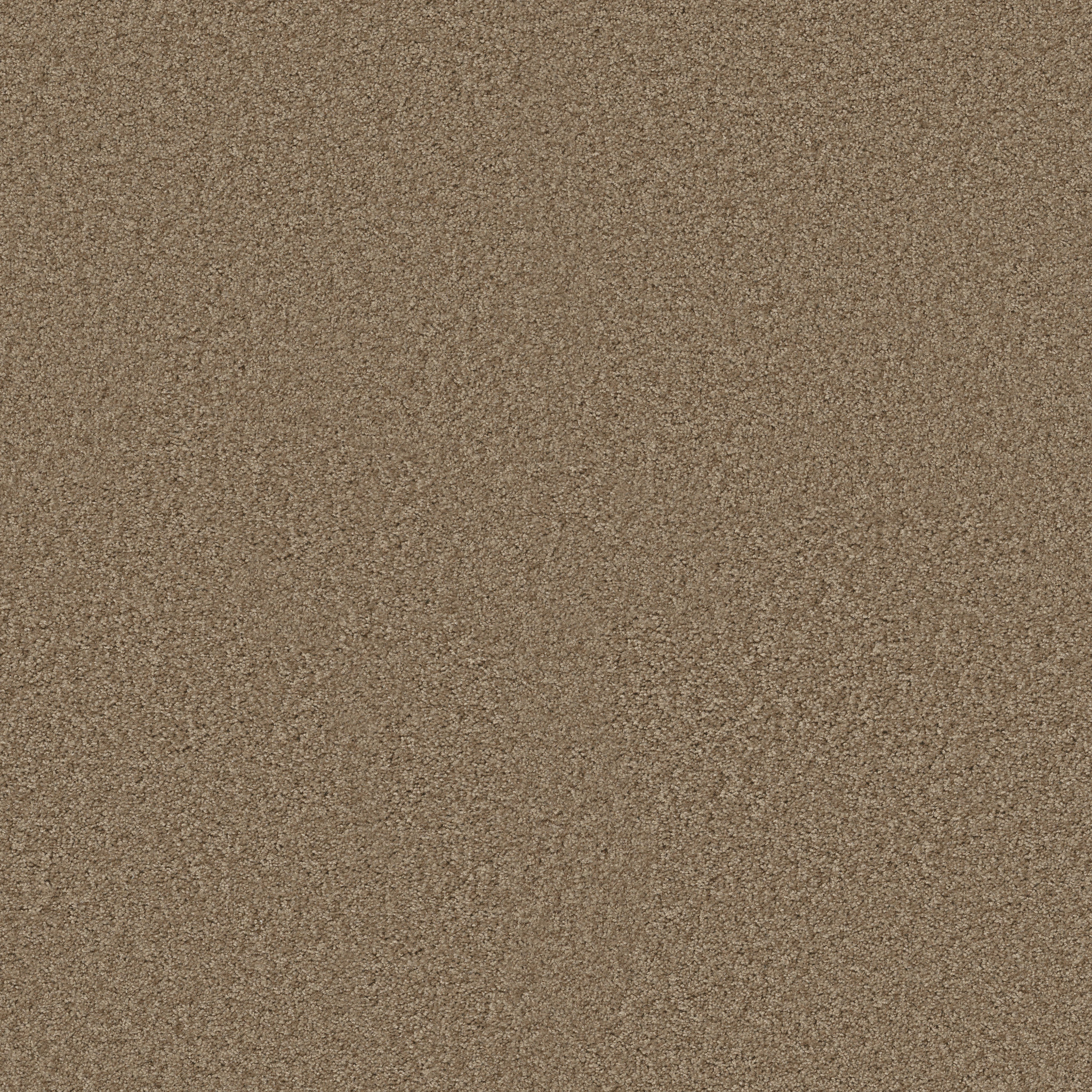 VITALIZE (S) 12' BARN WOOD MAIN