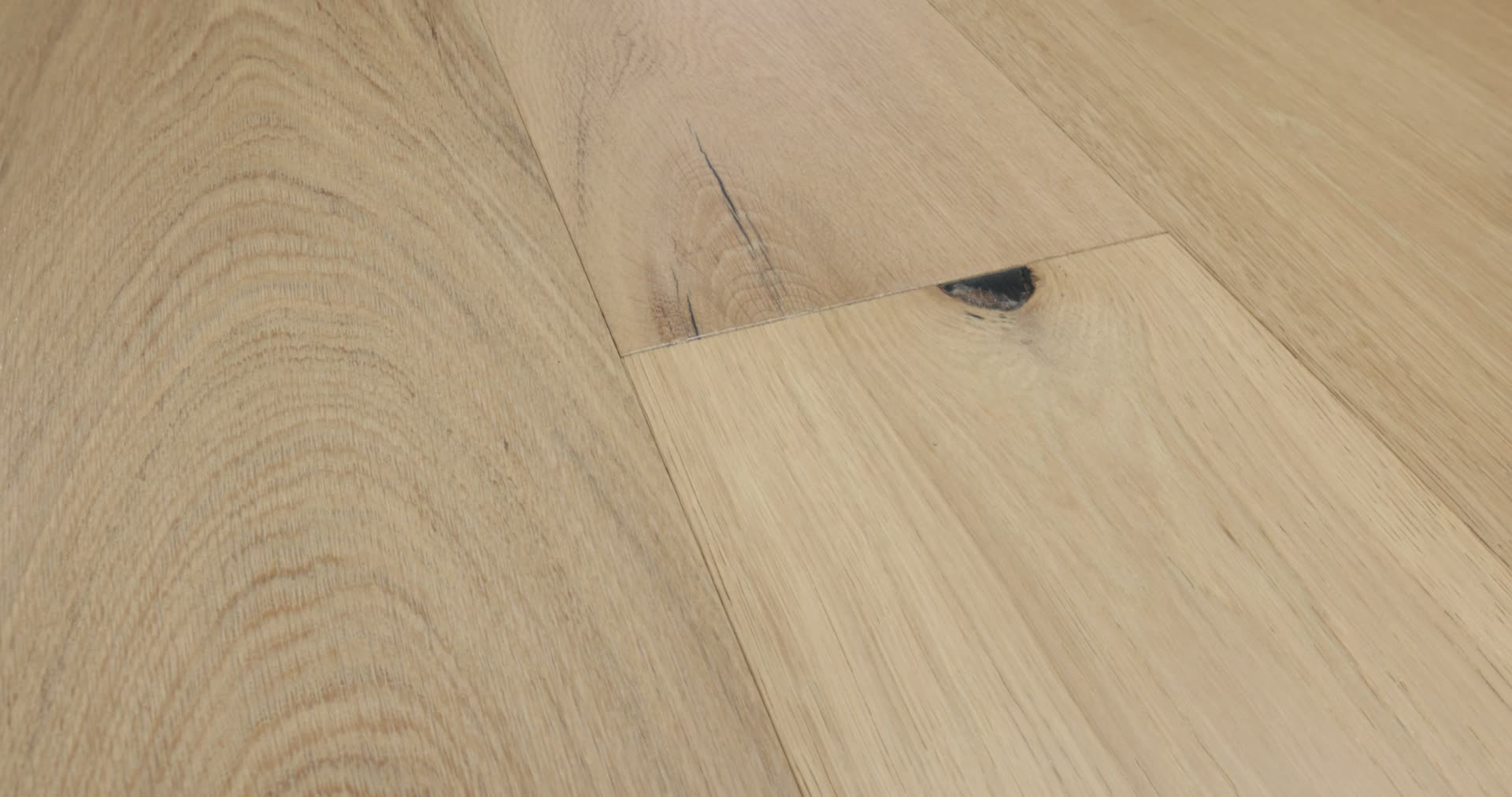 CASTLEWOOD OAK NOBILITY 360PROD