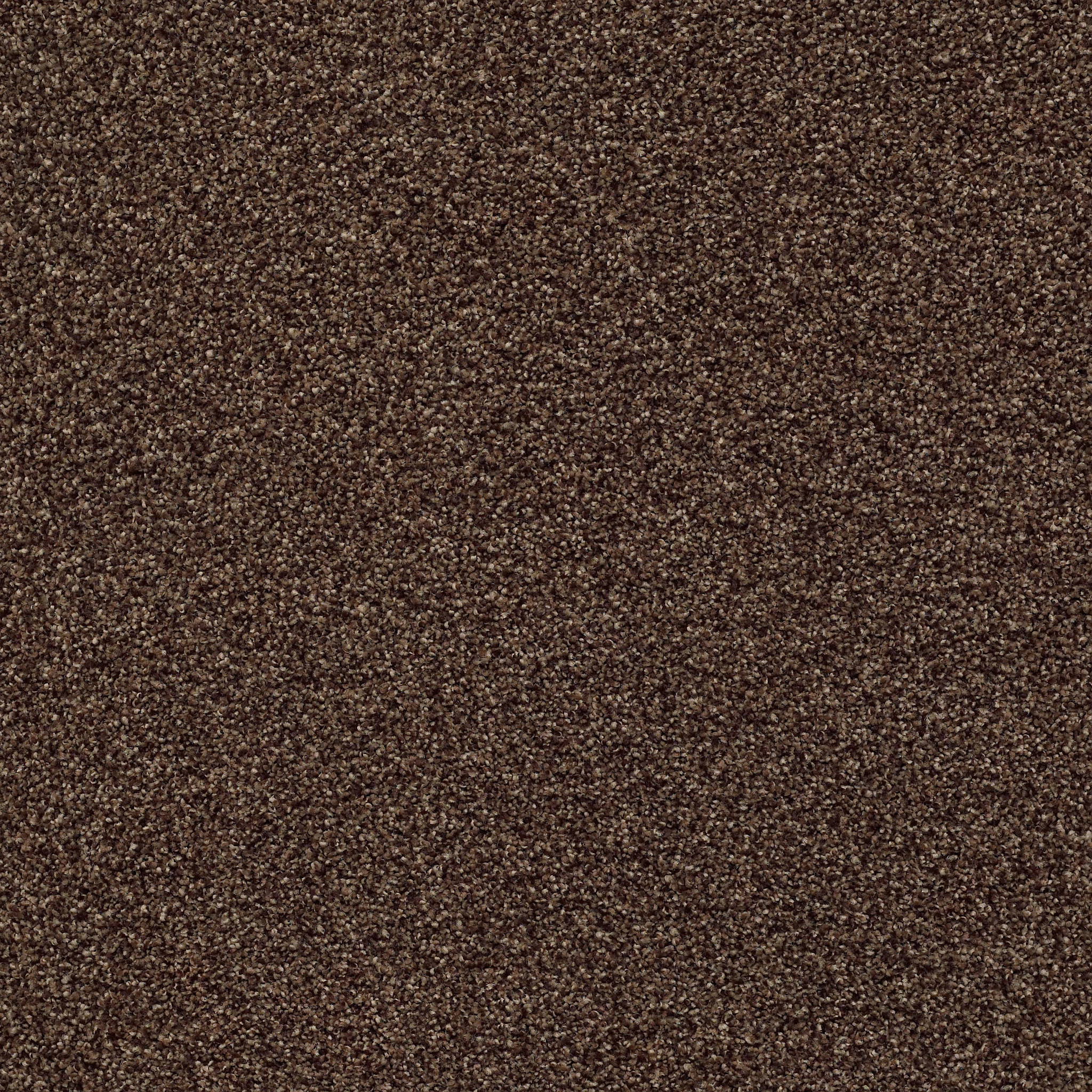 Find your comfort II - Tonal CHOCOLATE TREAT MAIN