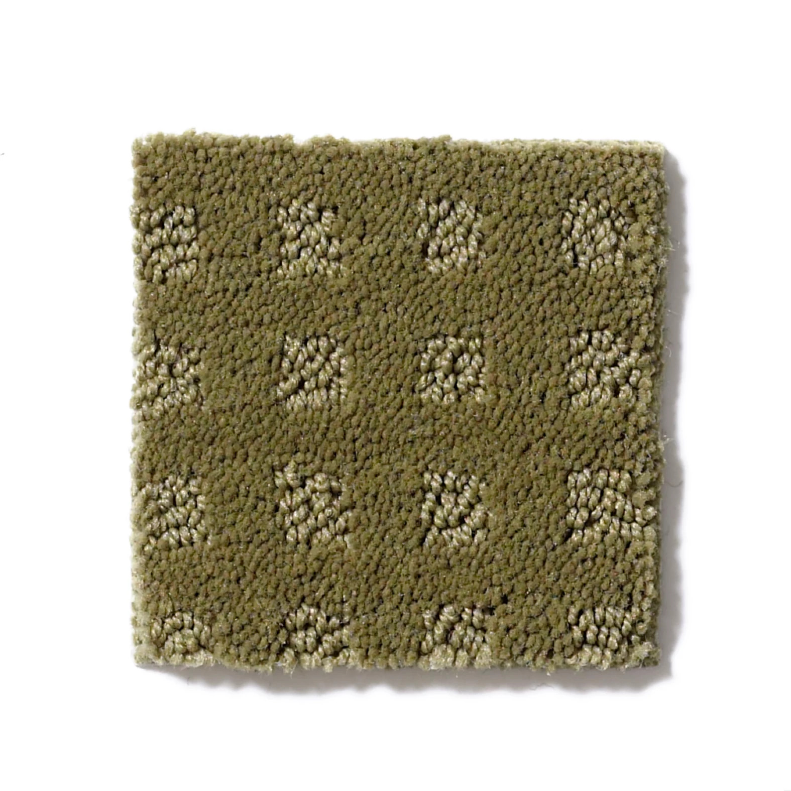 NOTTINGHAM ALOE SWATCH