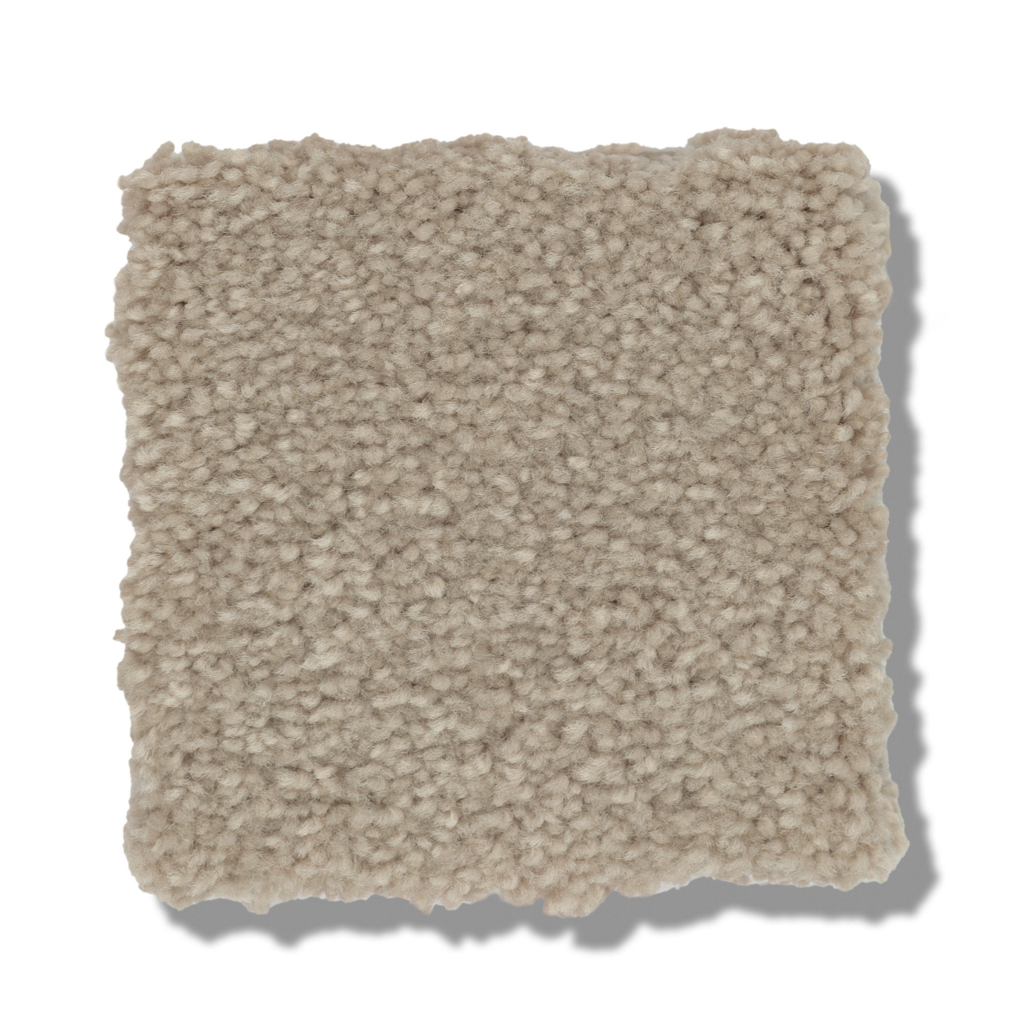 WELL GROUNDED I 15 DREAMY SWATCH