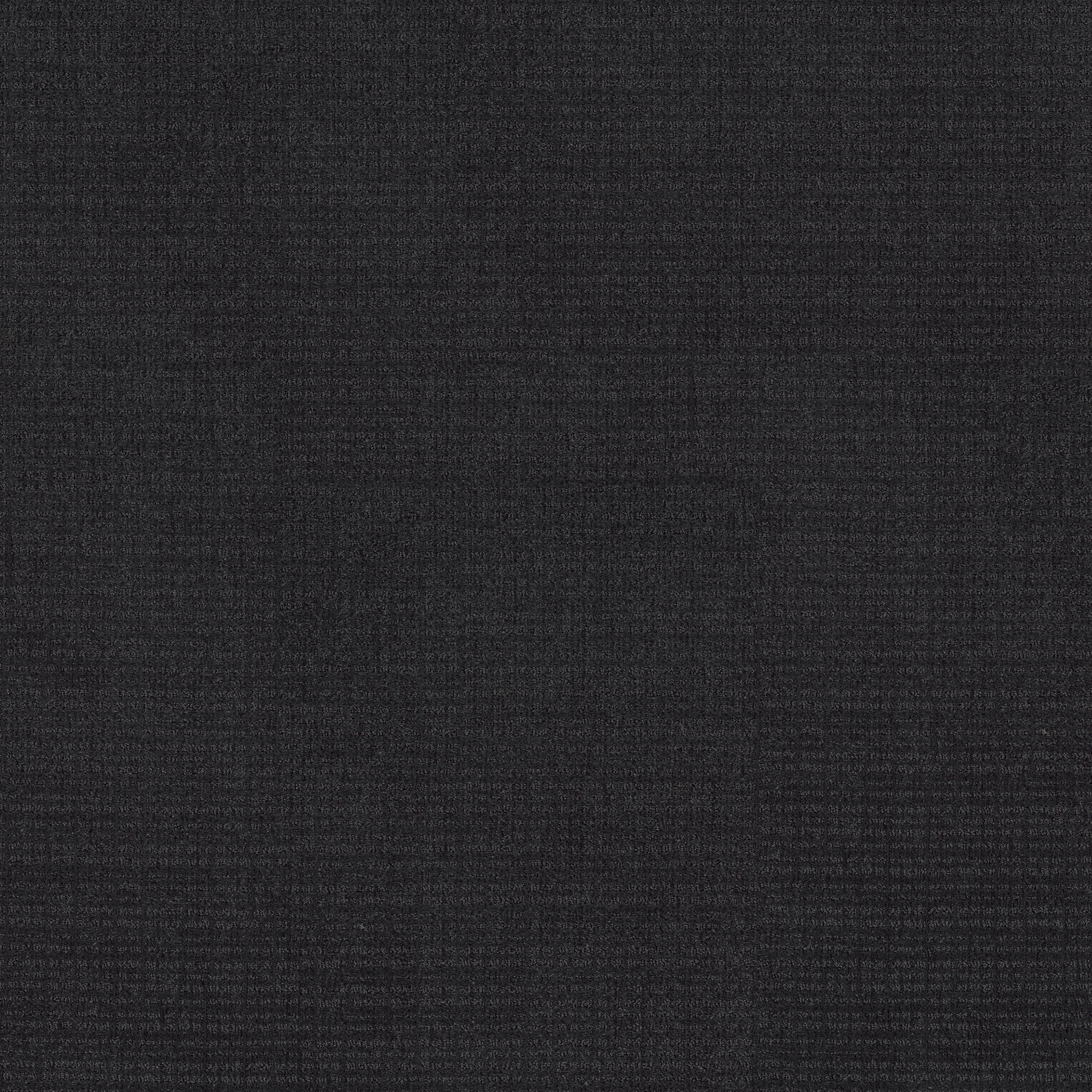 SIERRA VISTA BLACKOUT MAIN