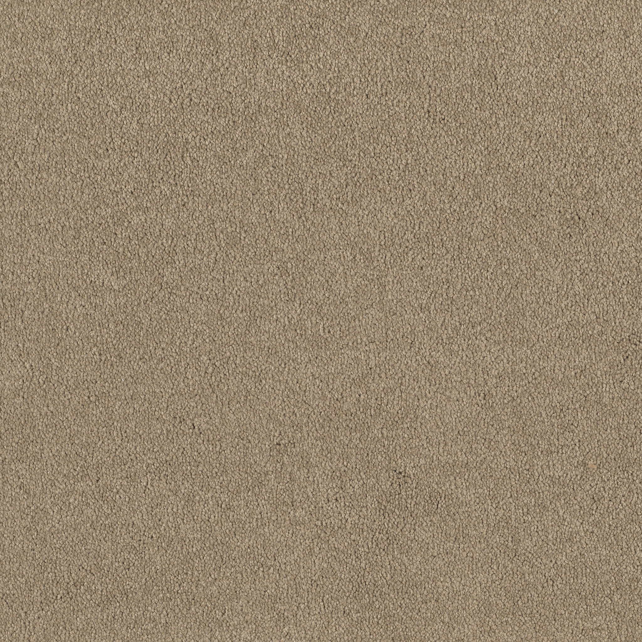 MAGIC AT LAST I 12&#x27; BALANCED BEIGE MAIN